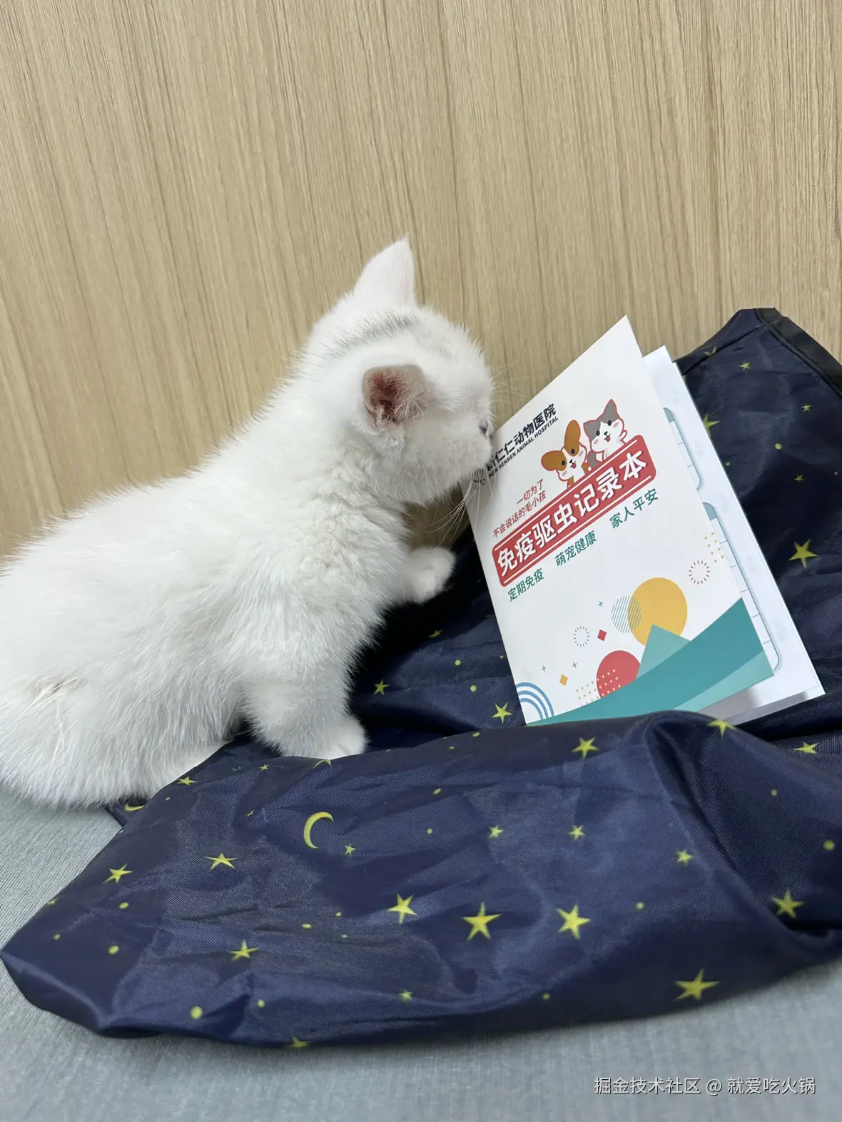 就爱吃火锅于2025-02-24 00:56发布的图片