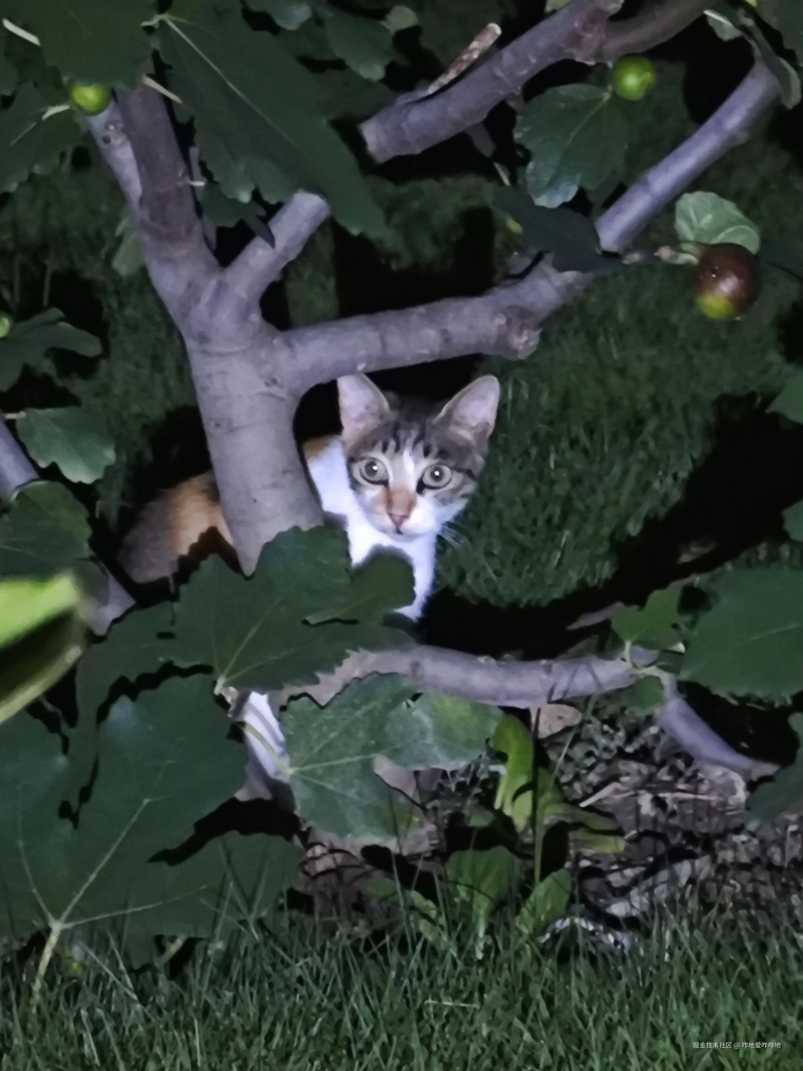 咋地爱咋咋地于2024-07-17 09:33发布的图片