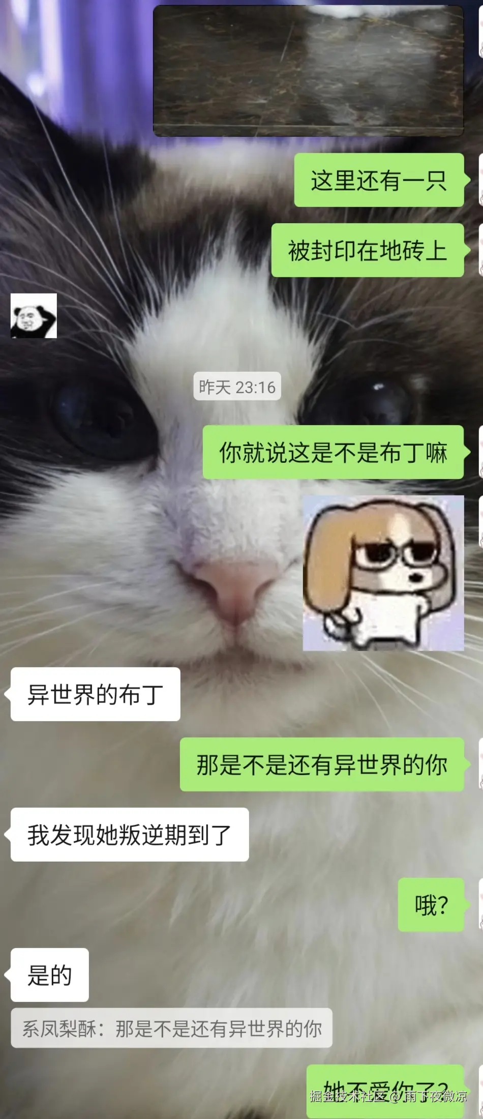 雨下夜微凉于2026-04-13 08:51发布的图片