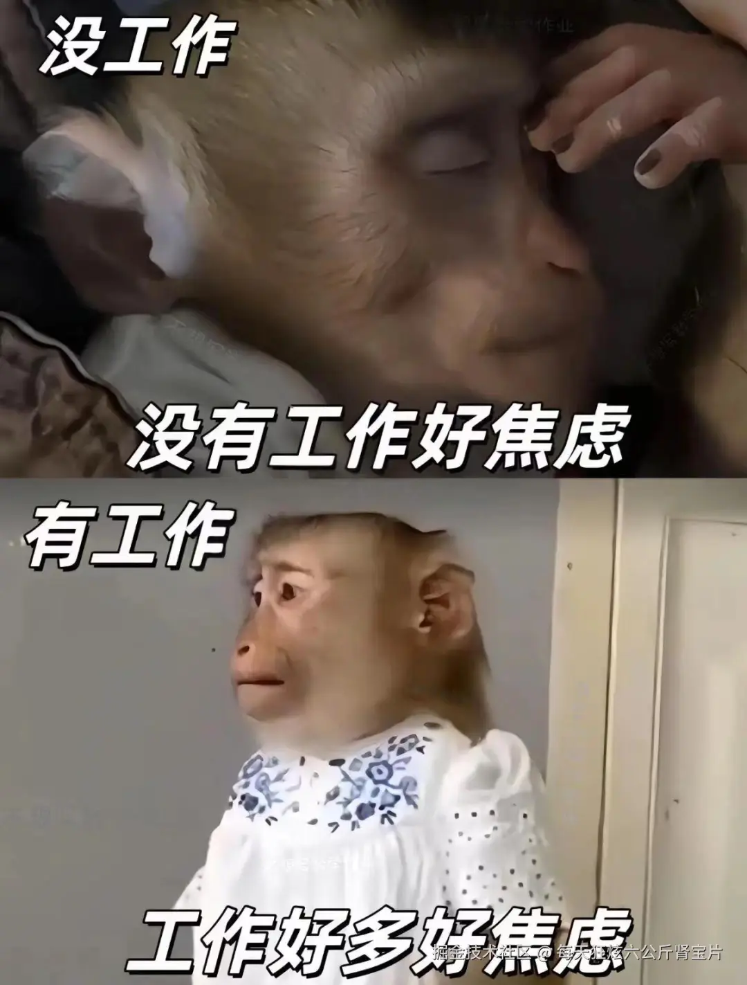 每天狂炫六公斤肾宝片于2024-07-30 16:50发布的图片