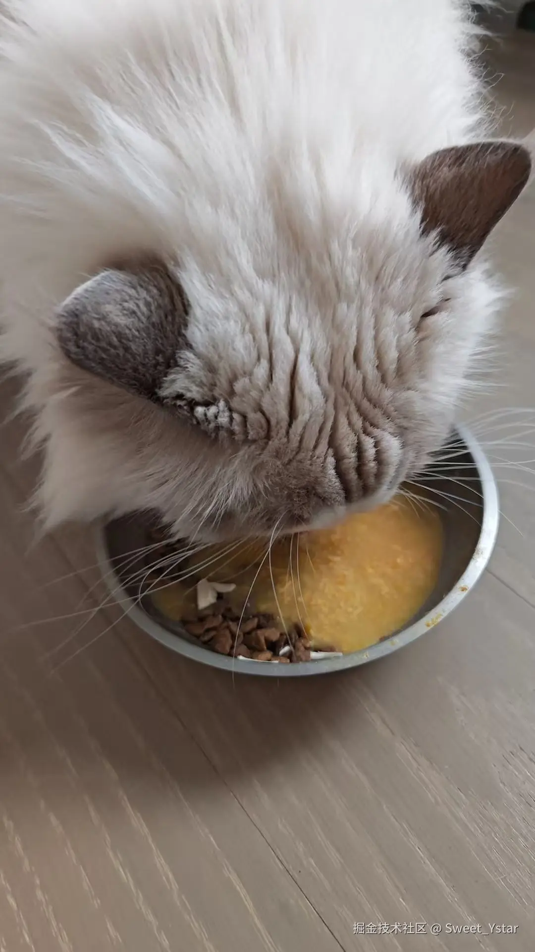 Sweet_Ystar于2026-03-12 09:46发布的图片