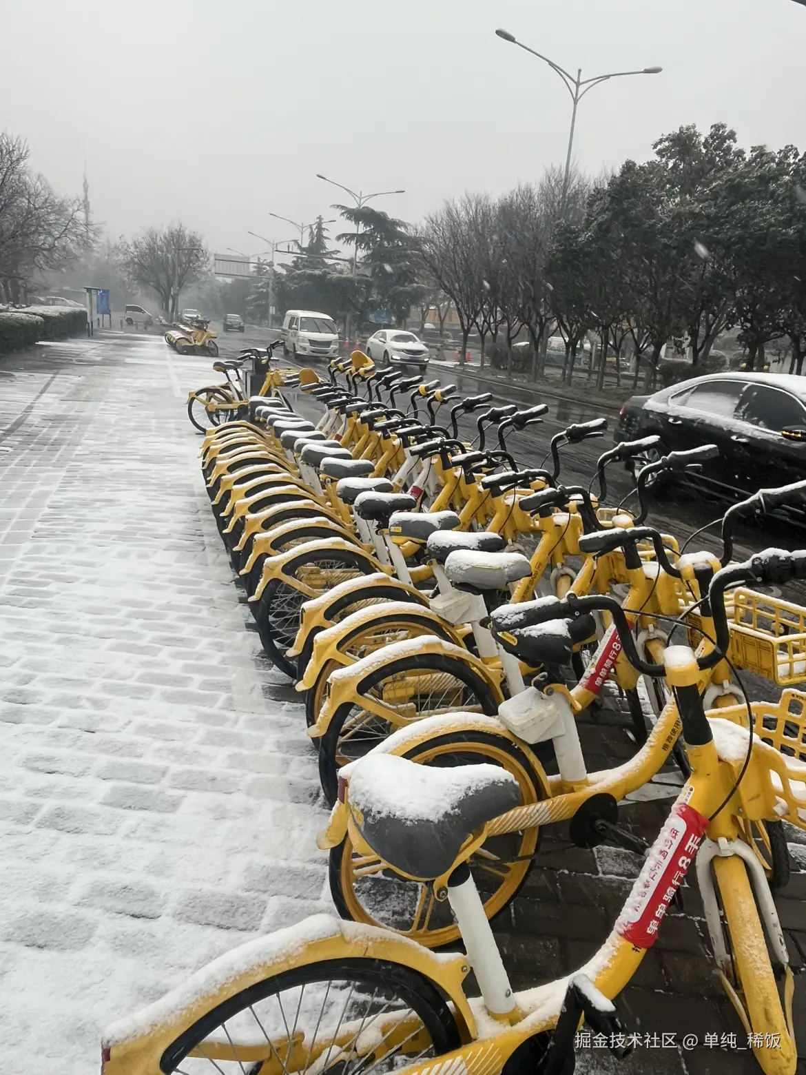 单纯_稀饭于2025-12-31 12:12发布的图片