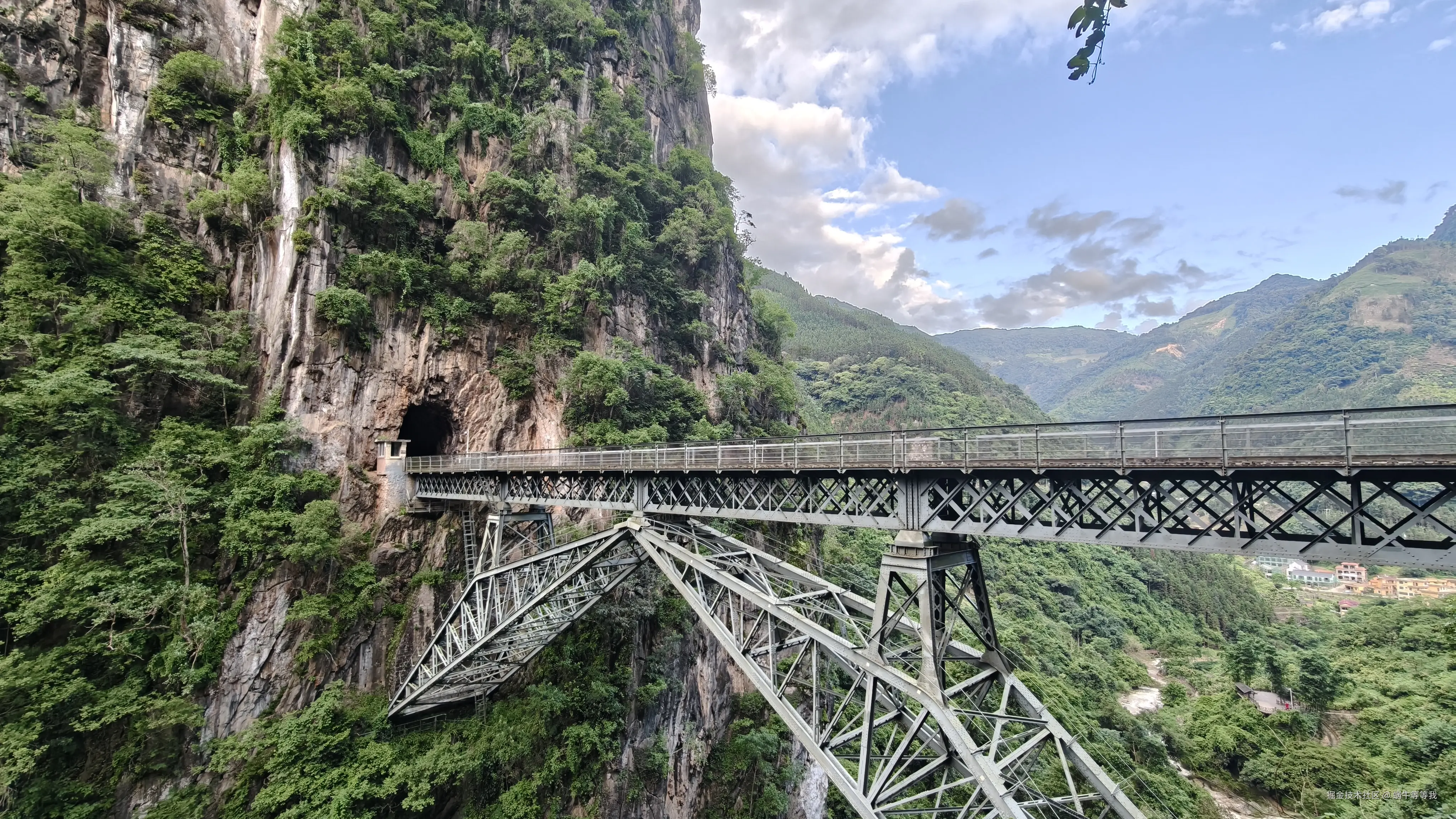 蜗牛等等我于2025-08-11 10:05发布的图片