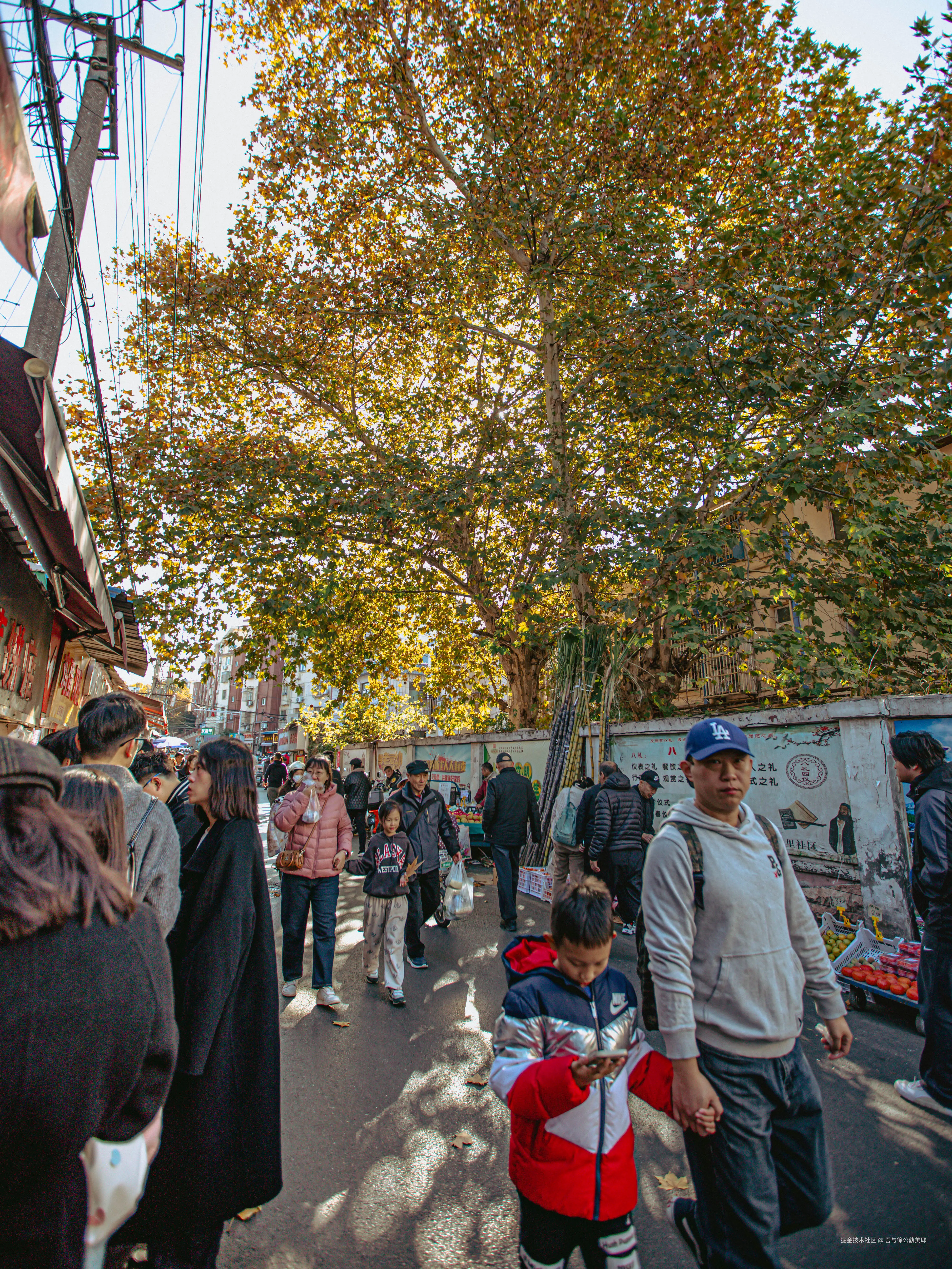 吾与徐公孰美耶于2024-11-29 09:48发布的图片