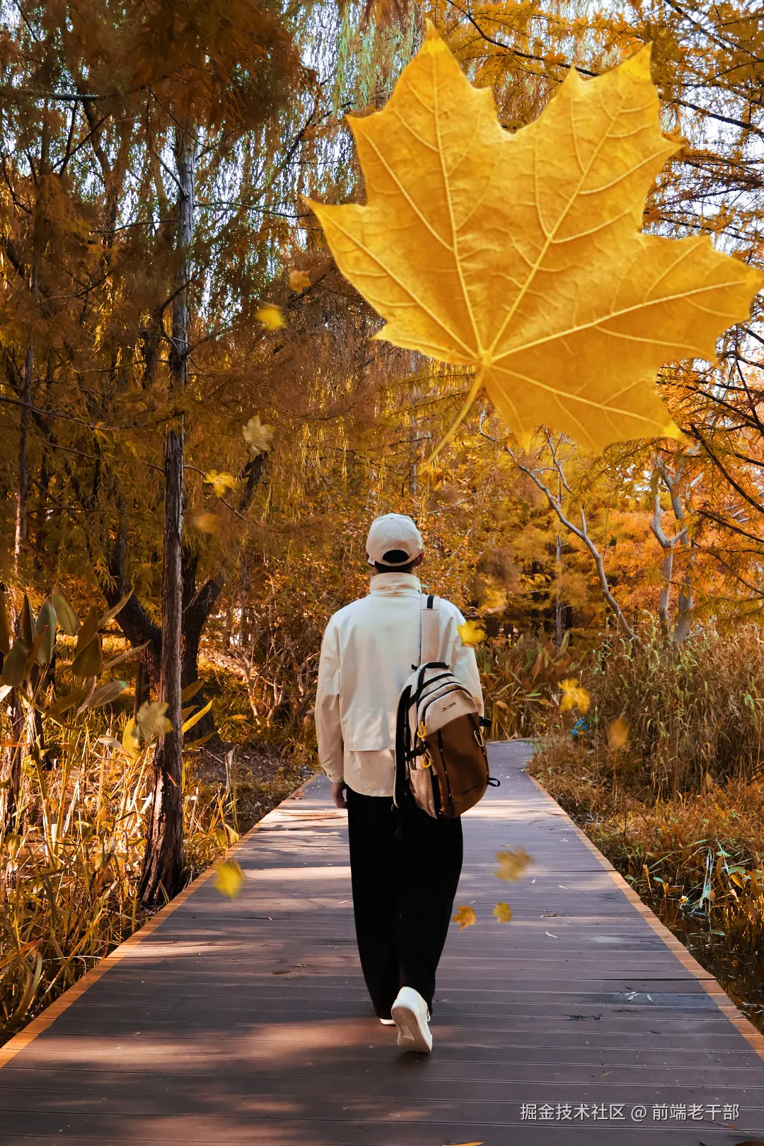 前端老干部于2025-11-17 09:16发布的图片