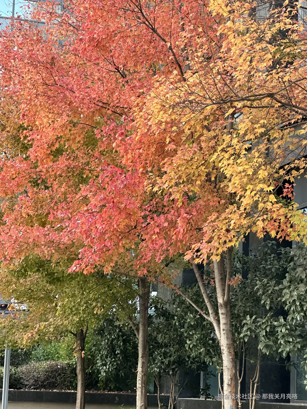 那我关月亮咯于2024-12-03 14:10发布的图片