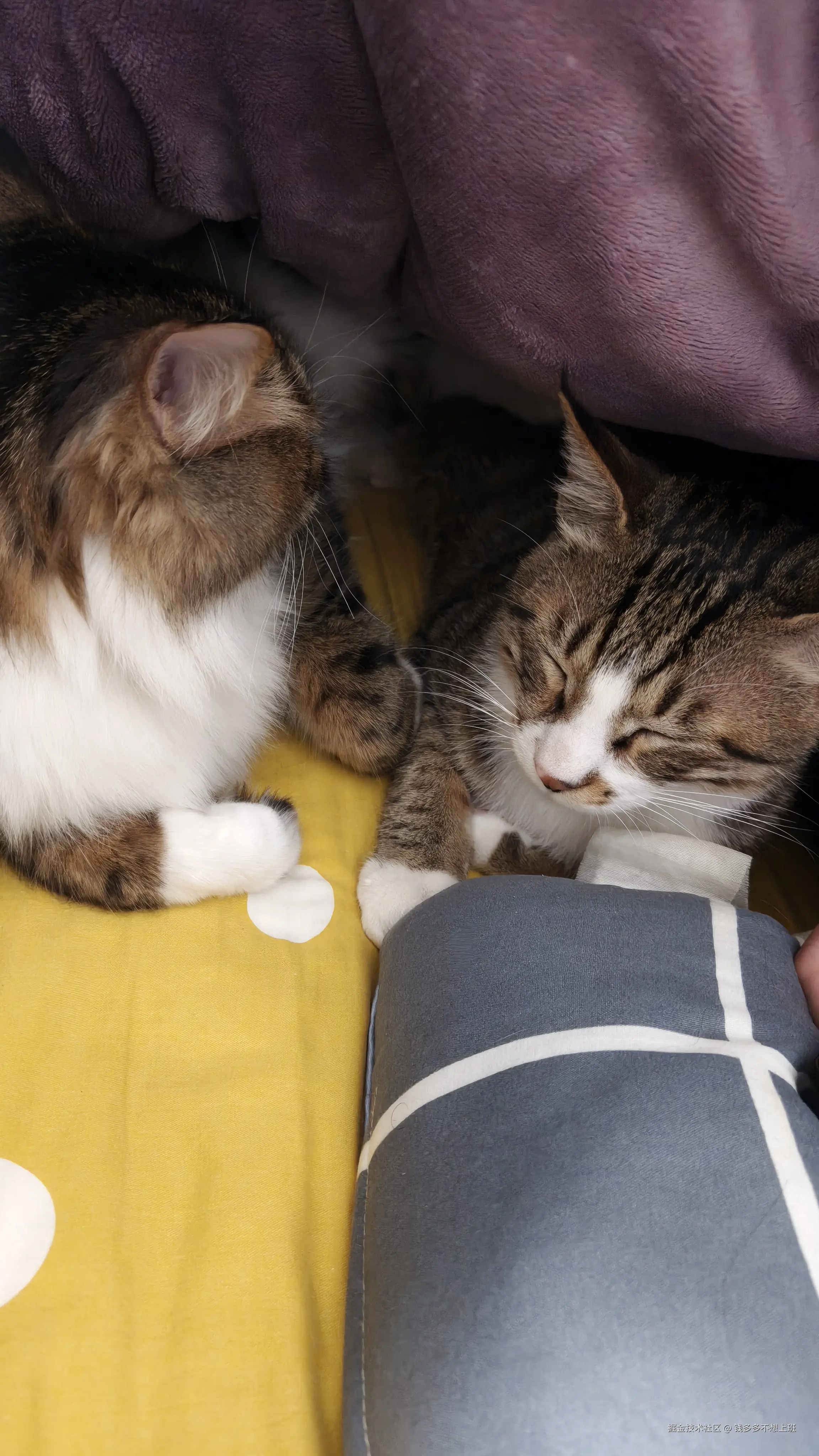 钱多多不想上班于2026-01-26 09:13发布的图片