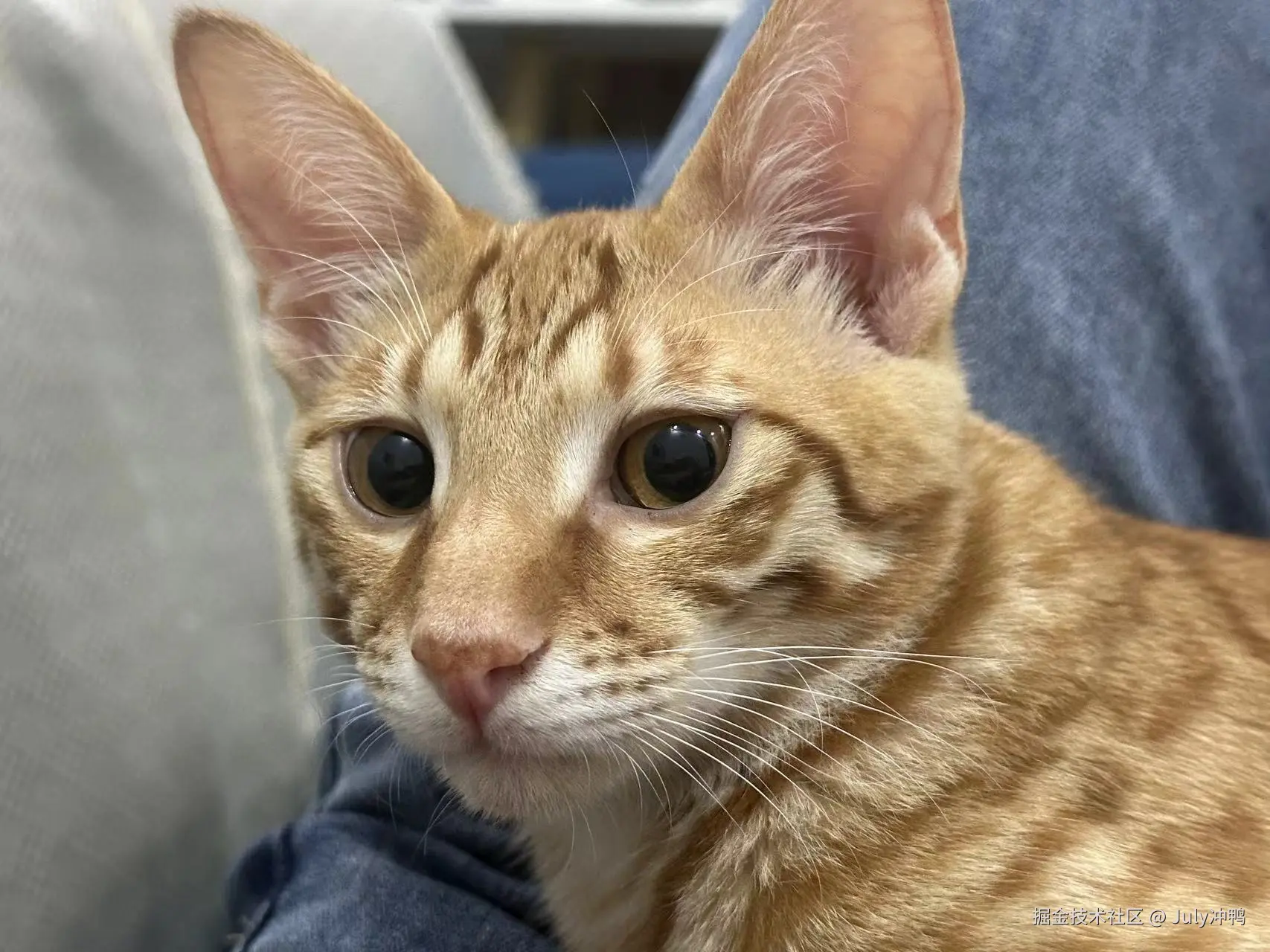 July冲鸭于2024-09-14 11:19发布的图片