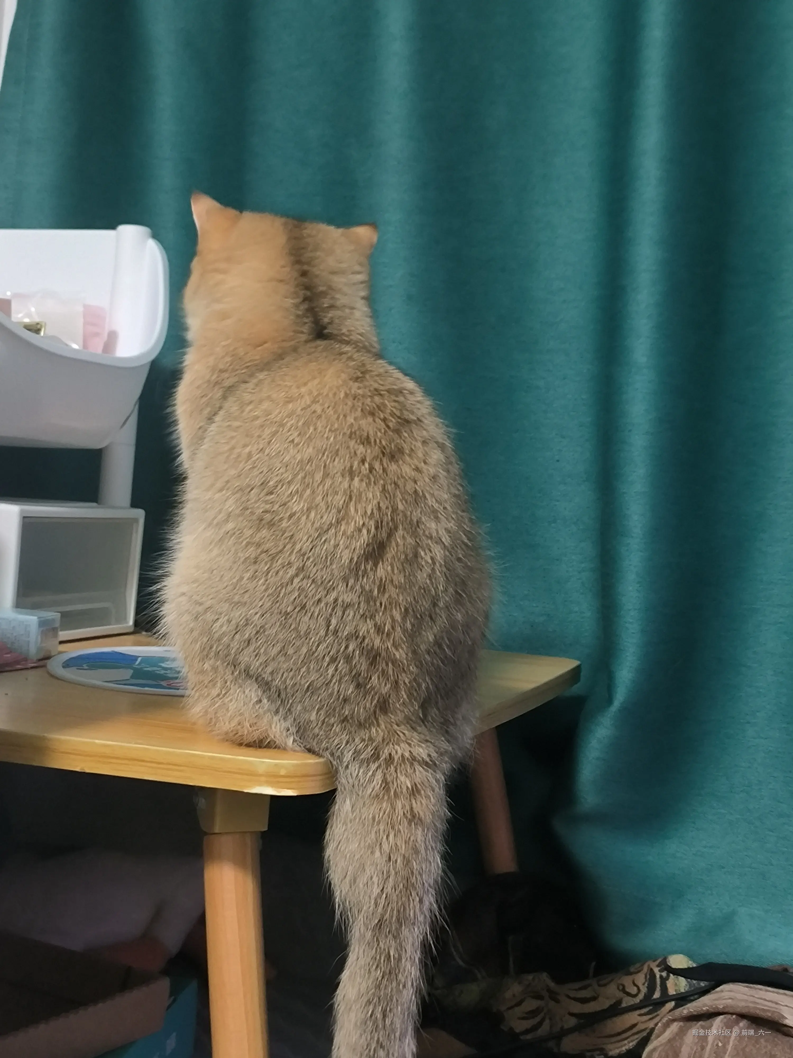 前端_六一于2024-10-17 16:44发布的图片