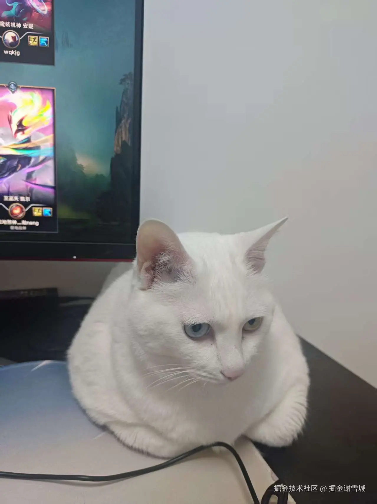 掘金谢雪城于2026-04-01 16:54发布的图片