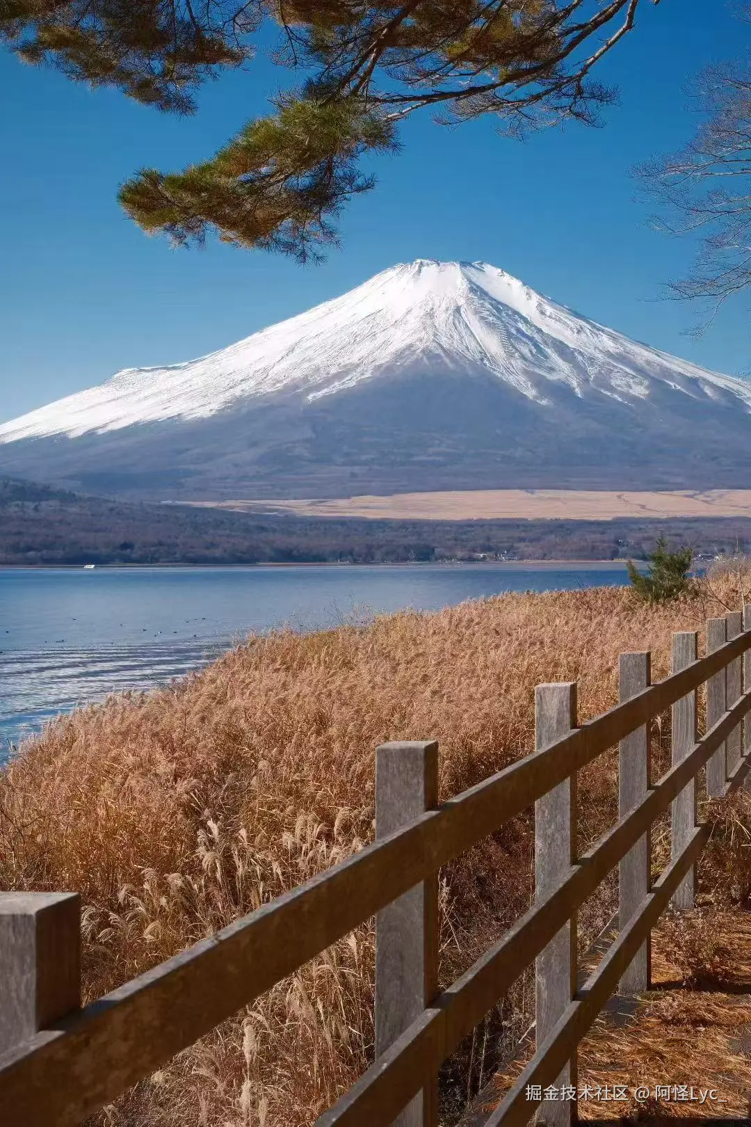 阿怪Lyc_于2025-12-30 10:57发布的图片