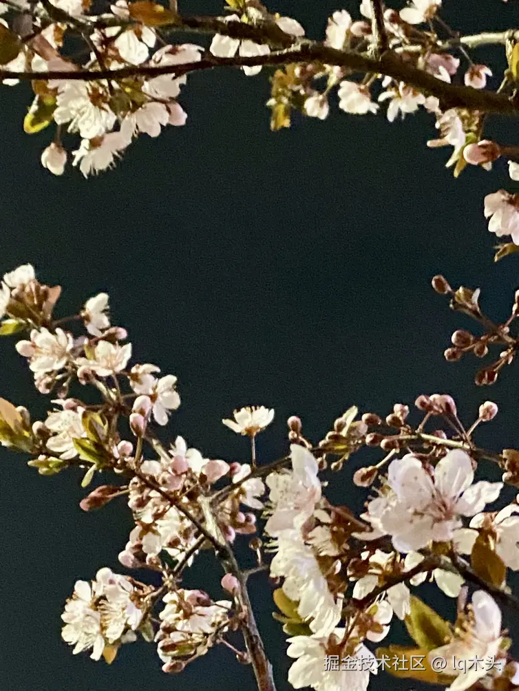 lq木头于2025-03-18 08:21发布的图片