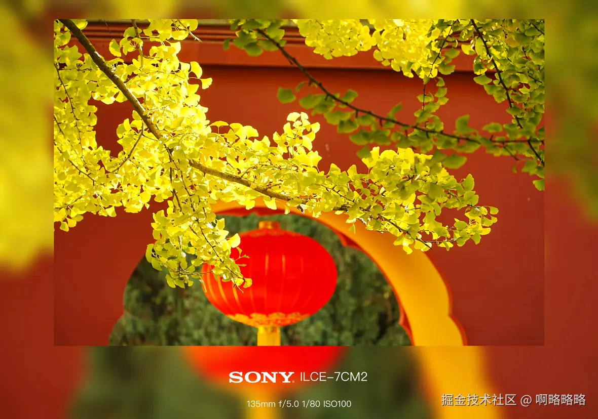 啊略略略于2024-10-28 10:27发布的图片