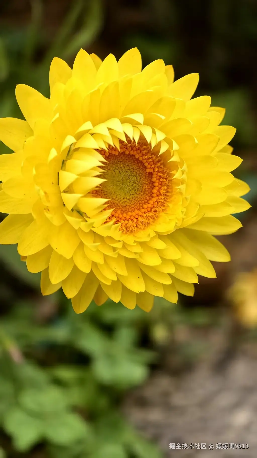 媛媛啊9813于2026-03-29 15:21发布的图片