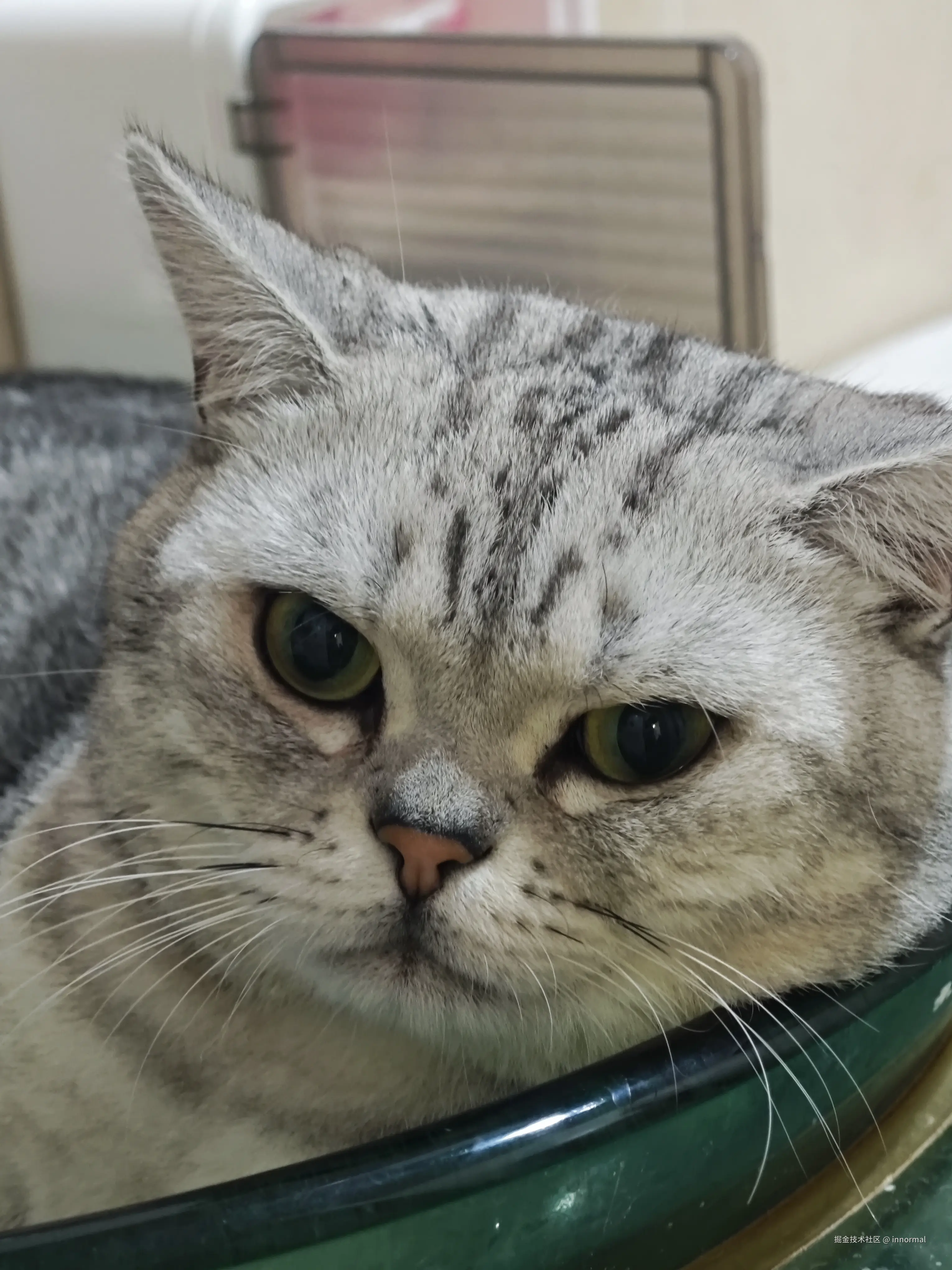 innormal于2025-12-23 09:15发布的图片