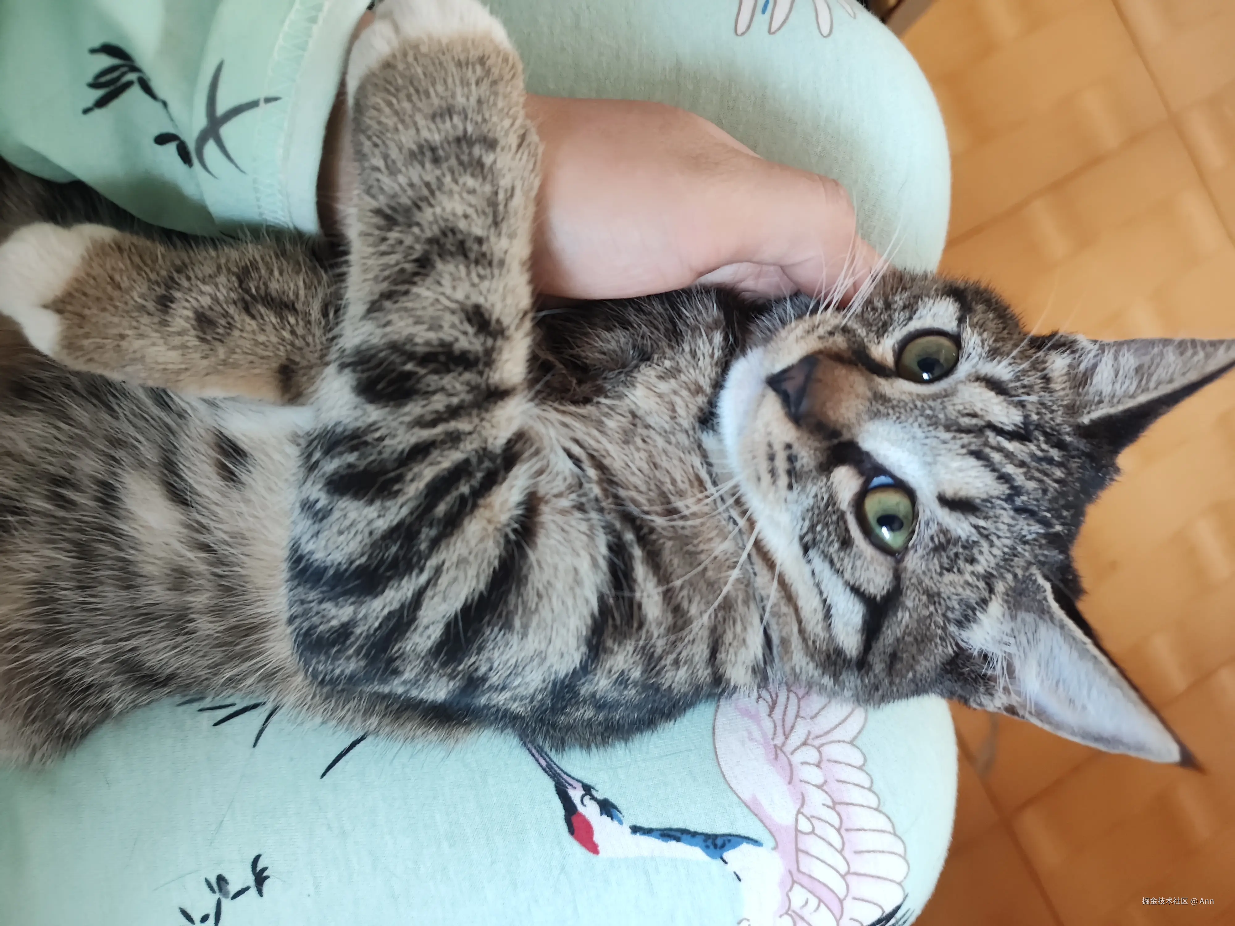 Ann于2024-10-09 02:43发布的图片