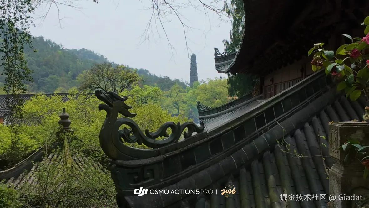 Giadat于2026-01-21 10:00发布的图片