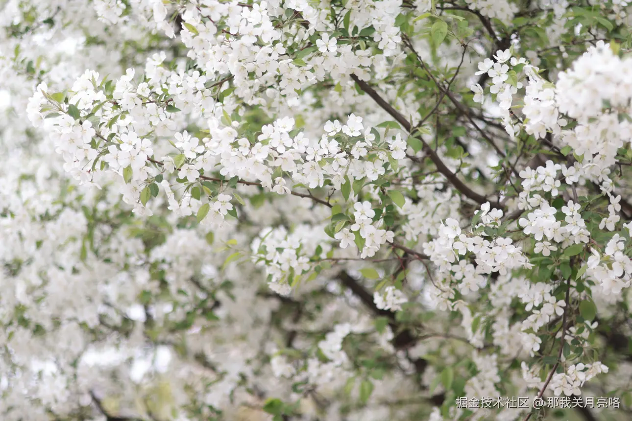 那我关月亮咯于2025-03-31 14:28发布的图片