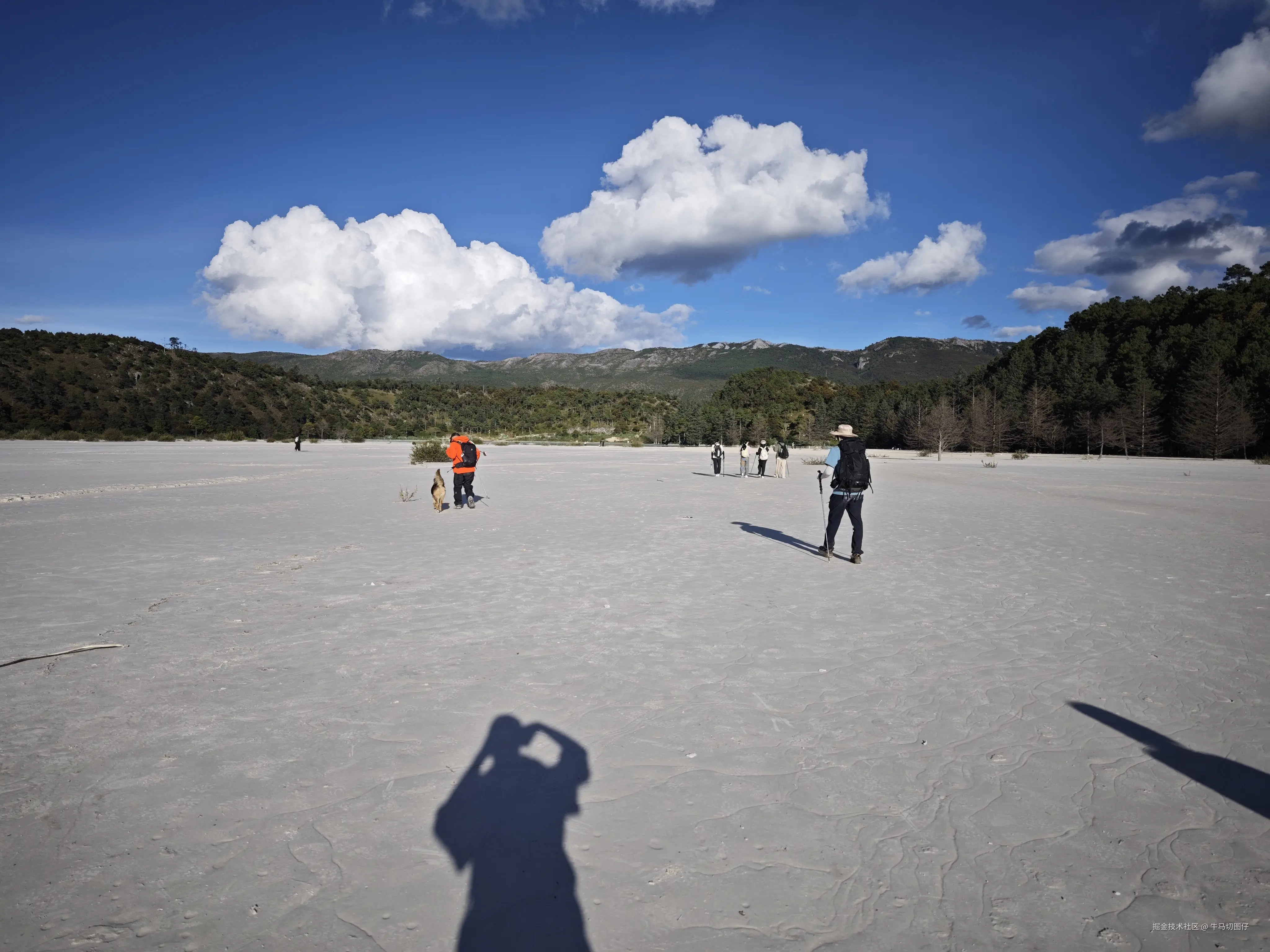 牛马切图仔于2025-10-09 05:51发布的图片