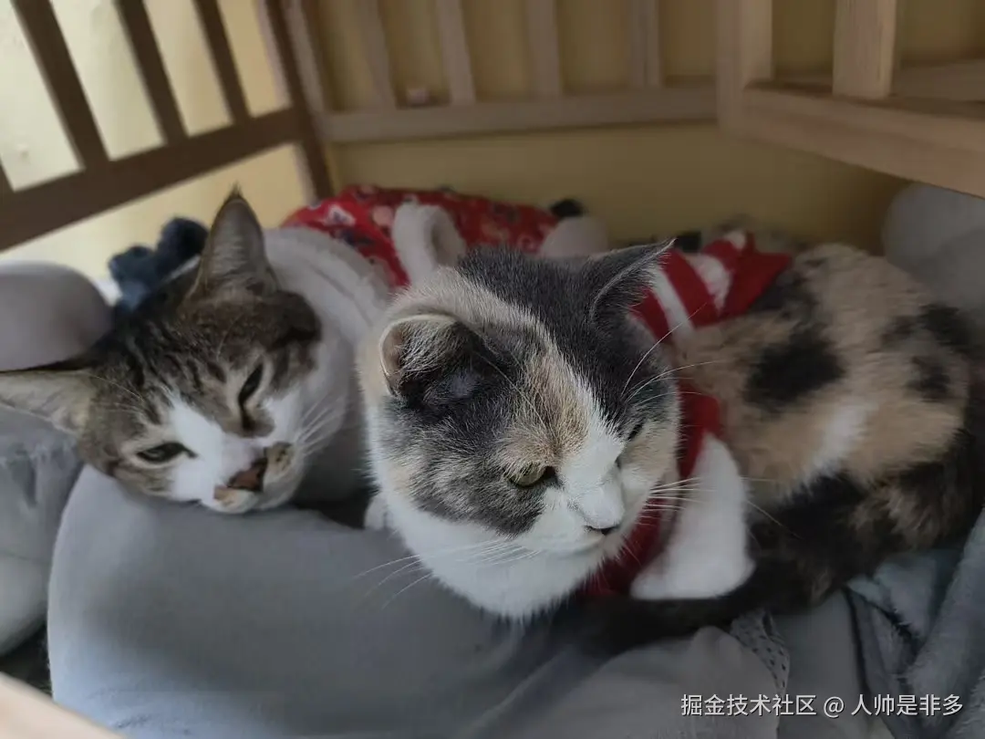 人帅是非多于2026-02-27 16:36发布的图片