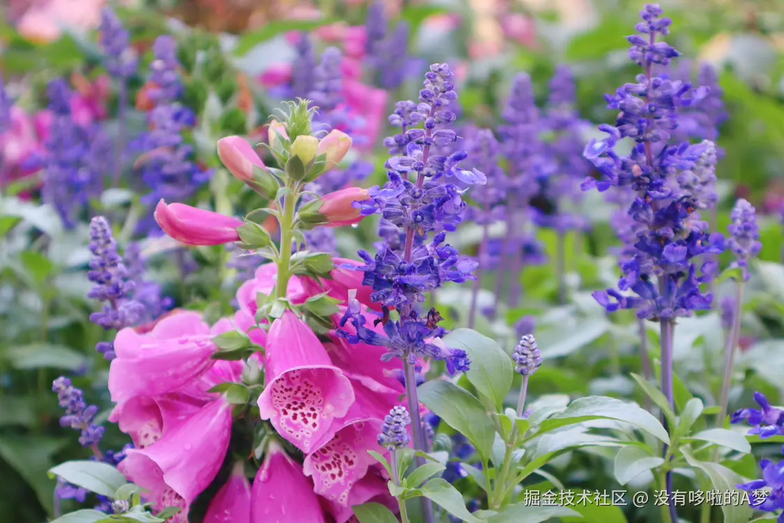 没有哆啦的A梦于2025-03-27 13:46发布的图片