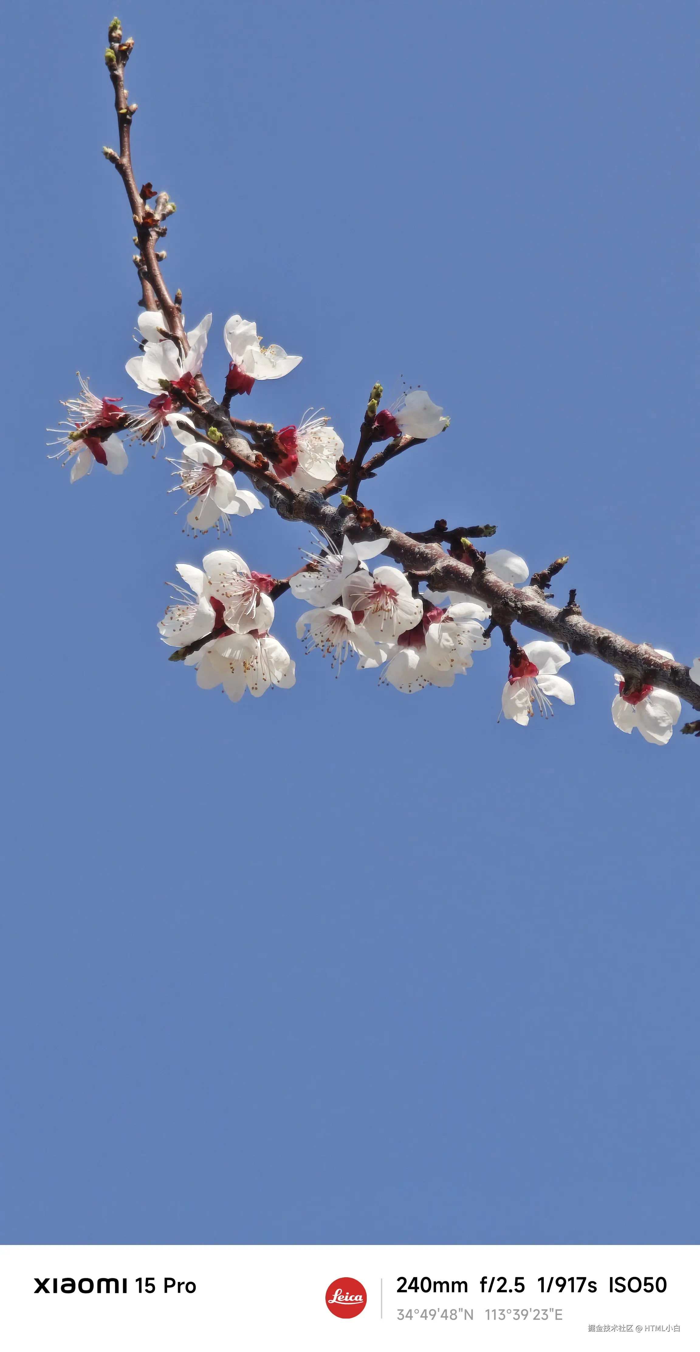 HTML小白于2025-03-19 09:31发布的图片