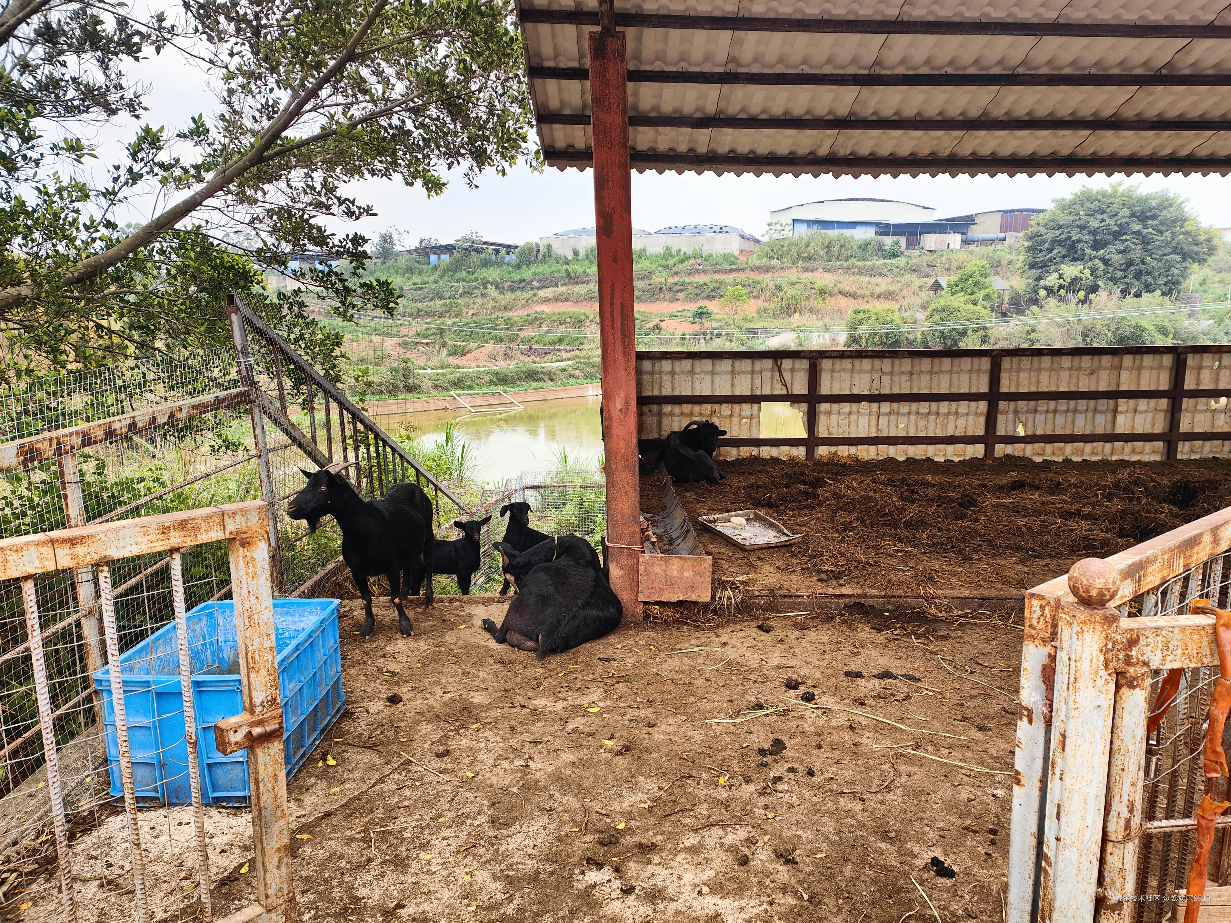 媛媛啊9813于2026-03-28 19:57发布的图片