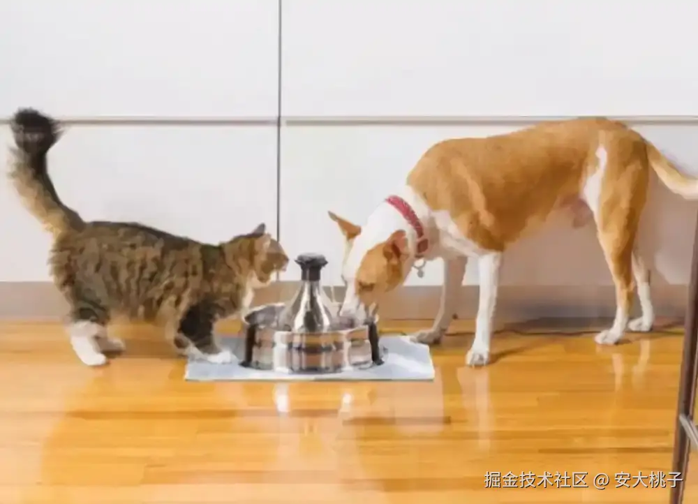 安大桃子于2025-07-26 10:52发布的图片