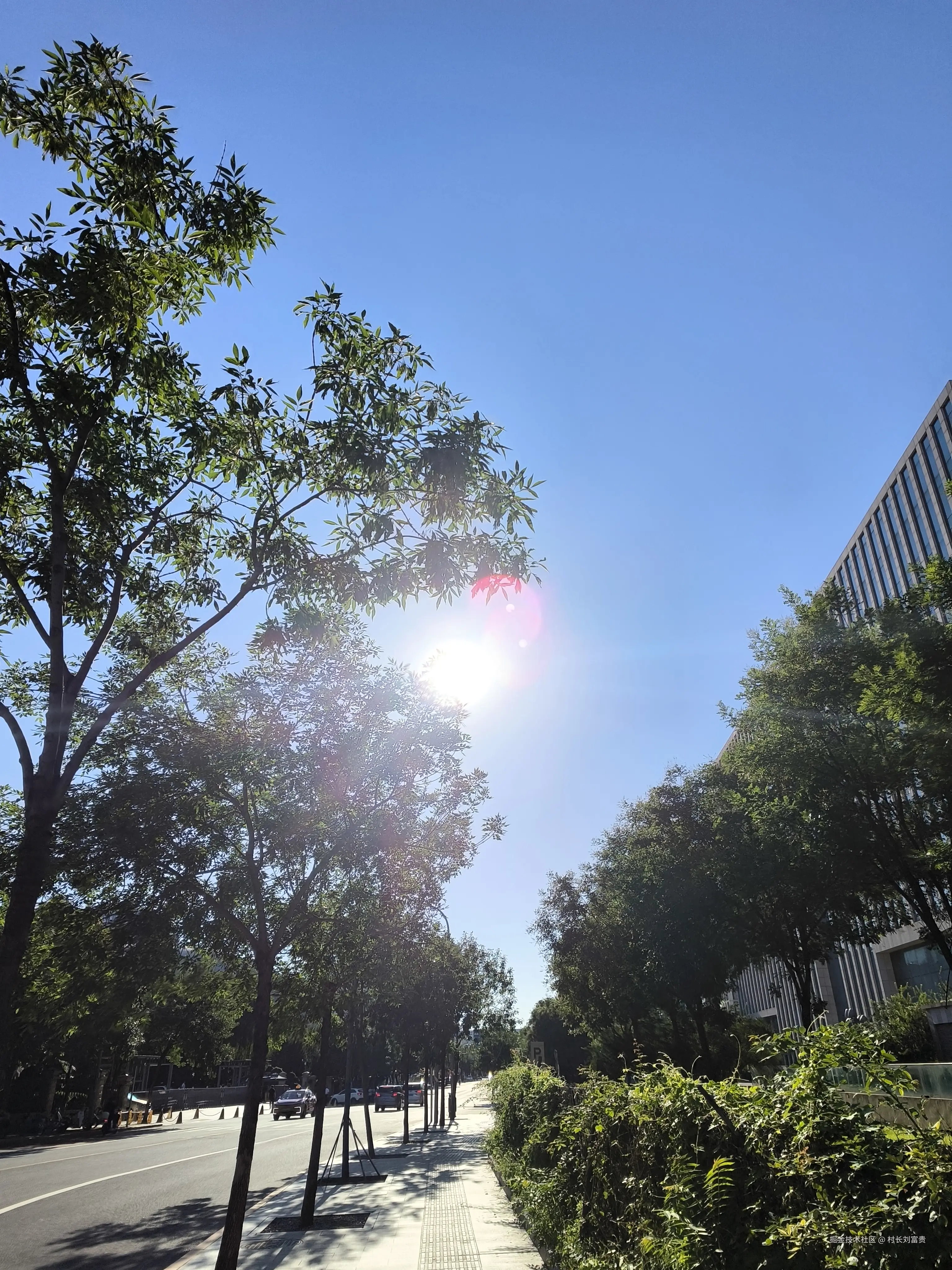 村长刘富贵于2025-07-30 08:49发布的图片