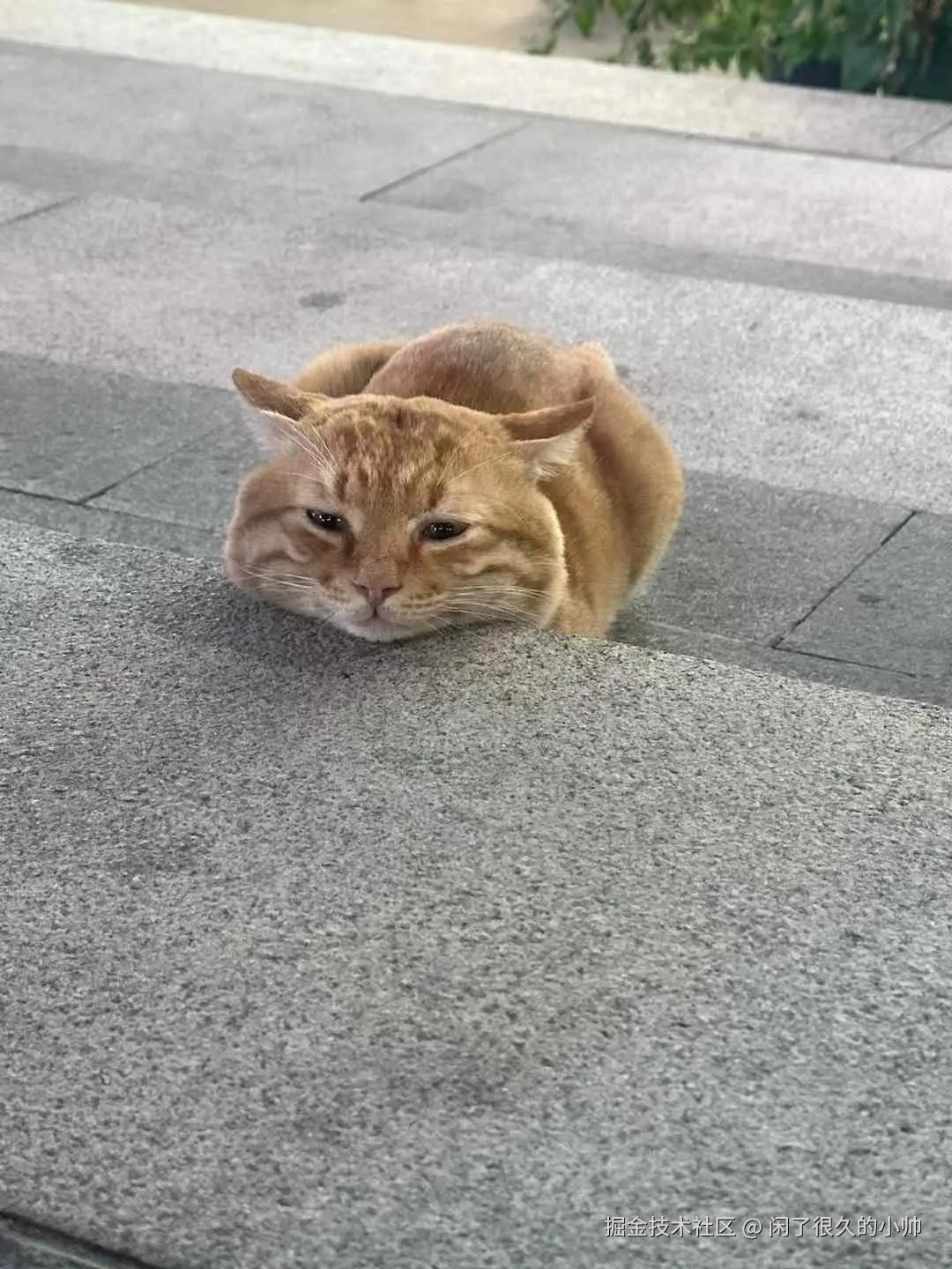 闲了很久的小帅于2024-10-25 15:32发布的图片