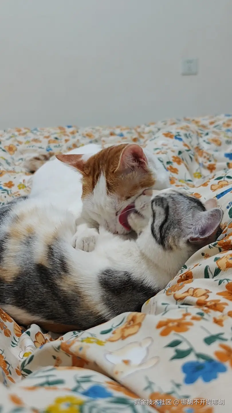 哪胡不开提哪胡于2025-04-18 09:45发布的图片