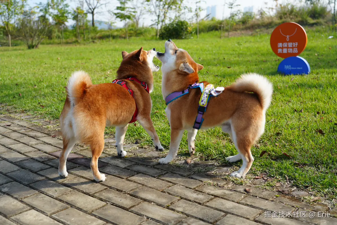 Erie于2025-11-18 08:30发布的图片