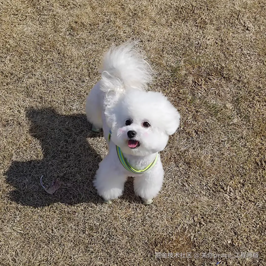 关你peace_工程师版于2026-04-15 10:23发布的图片