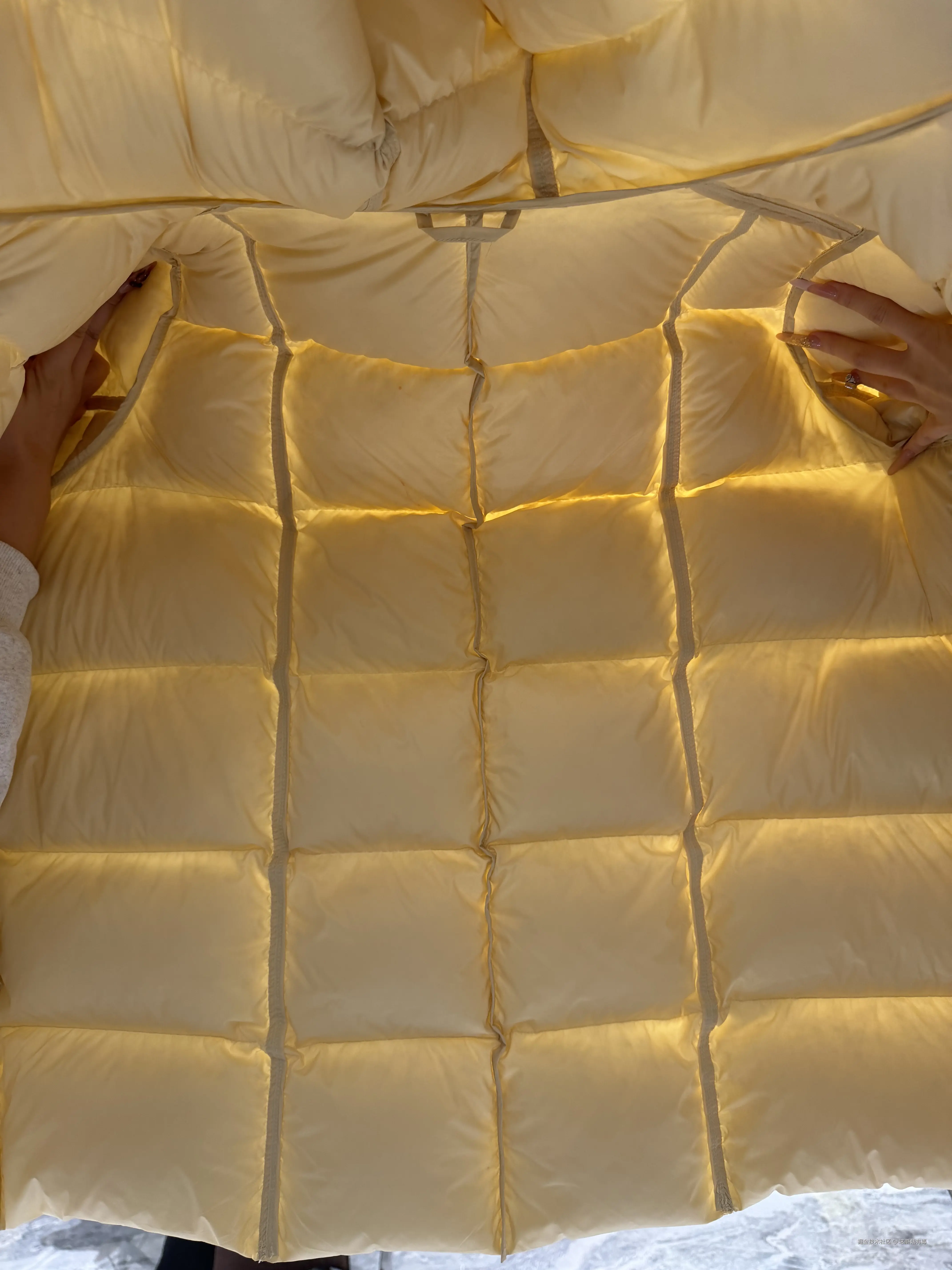 这蘑菇有毒于2026-01-07 17:26发布的图片