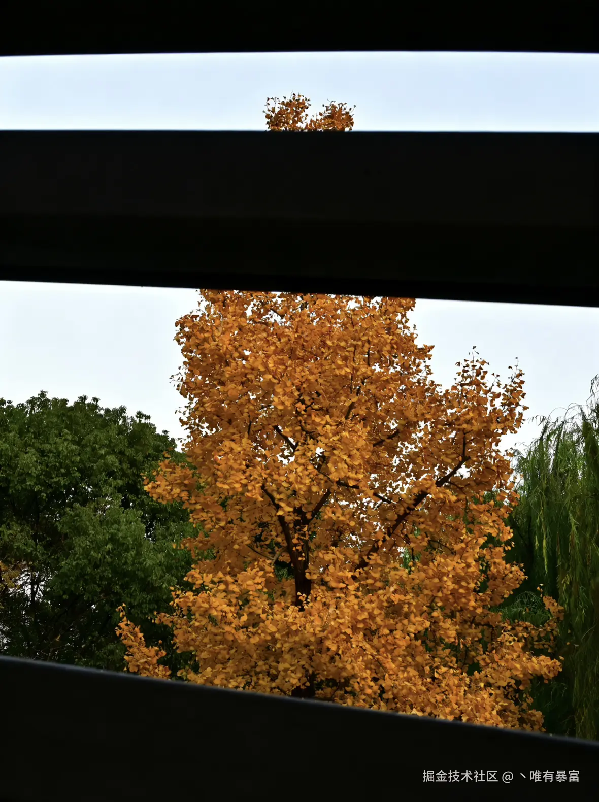 丶唯有暴富于2025-12-08 10:12发布的图片