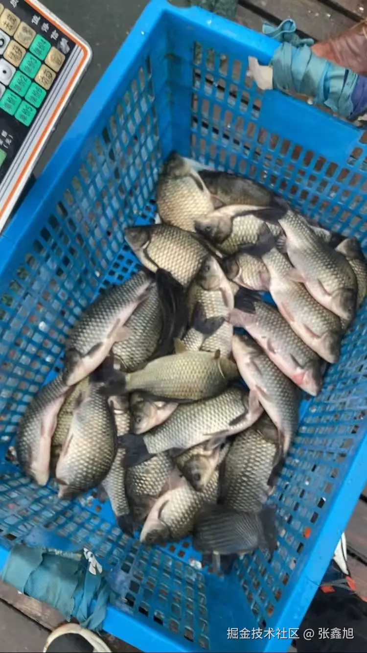 张鑫旭于2024-10-28 04:01发布的图片