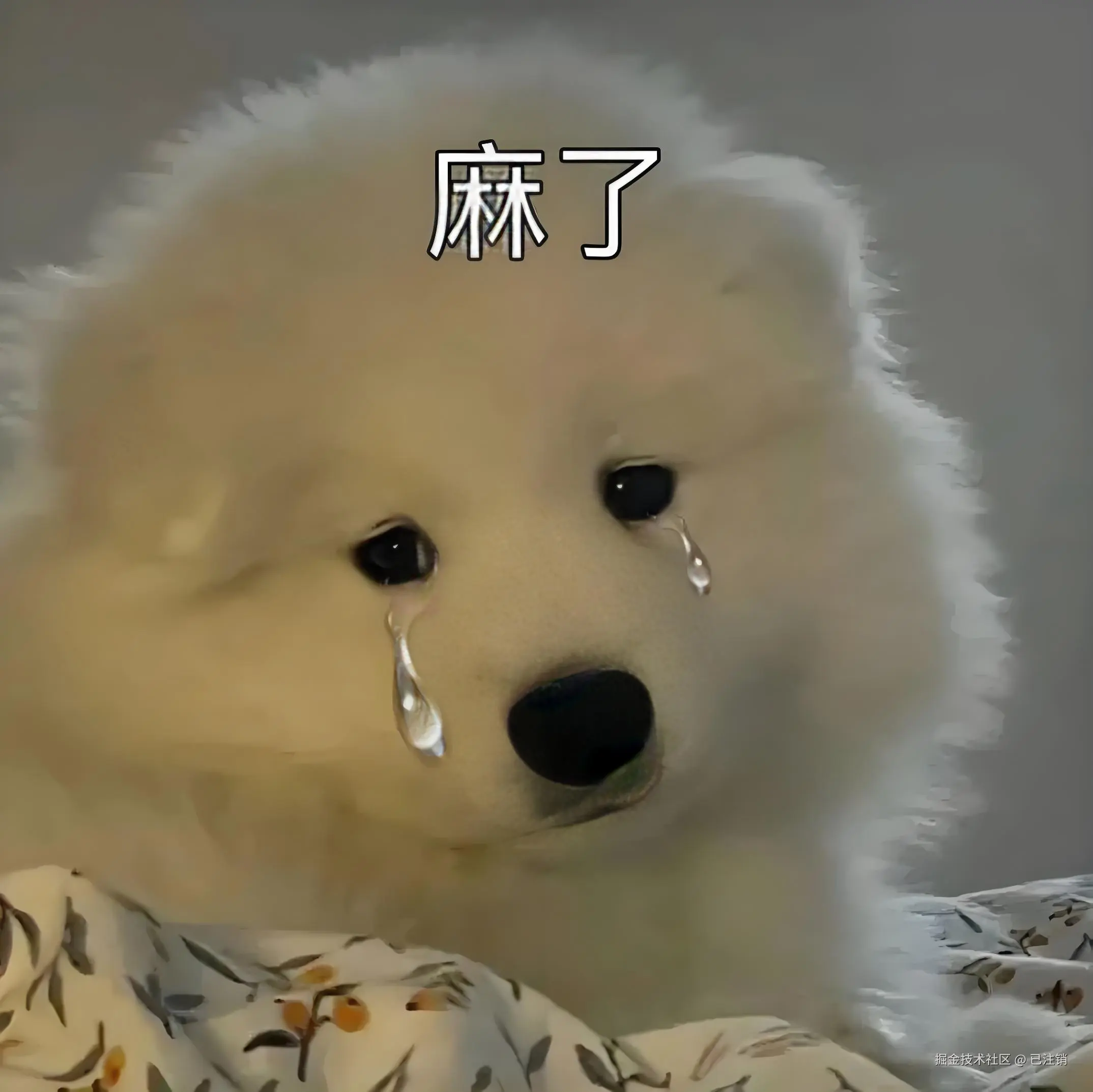 已注销于2024-07-26 09:36发布的图片