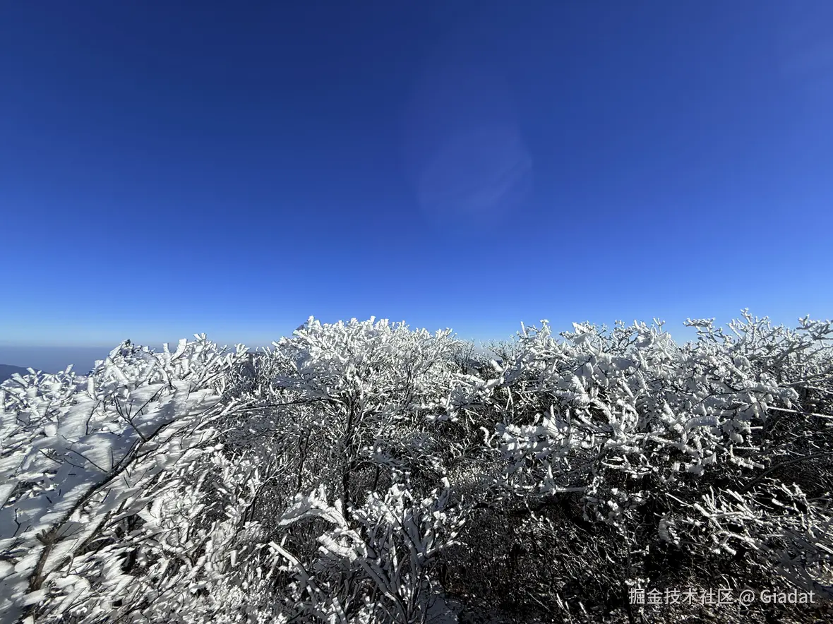 Giadat于2025-12-16 14:17发布的图片