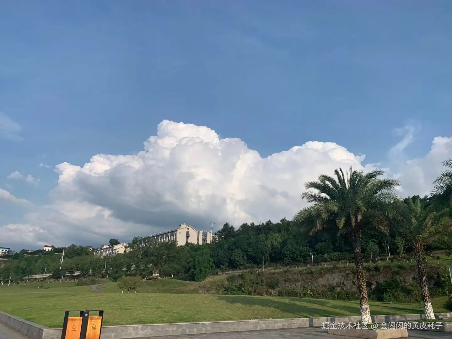 金闪闪的黄皮耗子于2025-07-01 13:20发布的图片