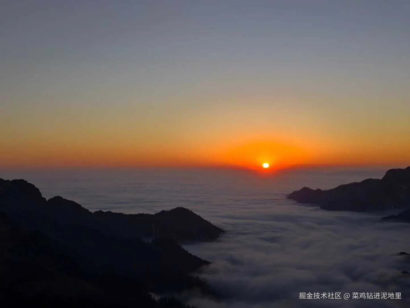 菜鸡钻进泥地里于2026-01-26 10:20发布的图片