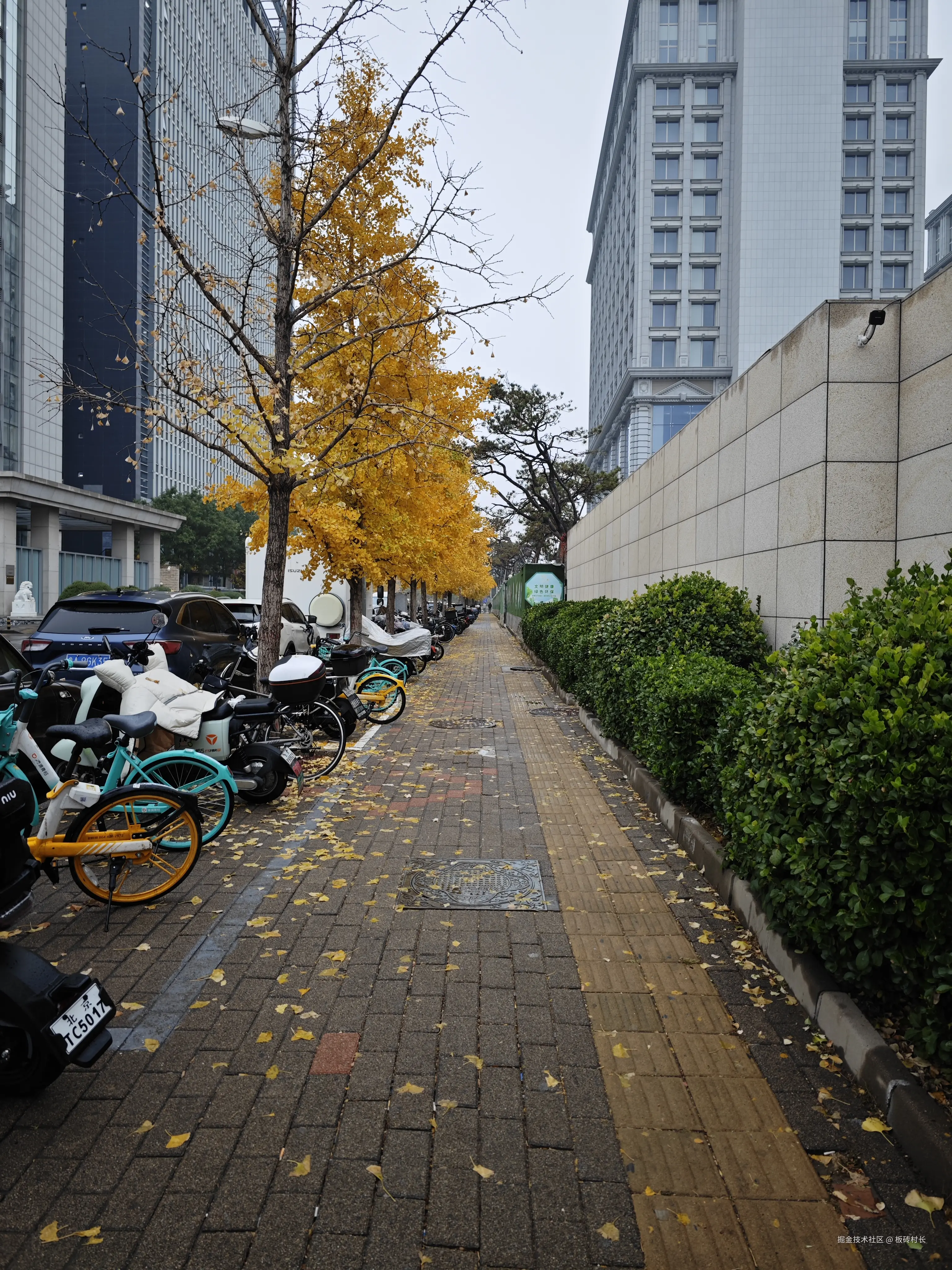 板砖村长于2024-11-14 11:12发布的图片