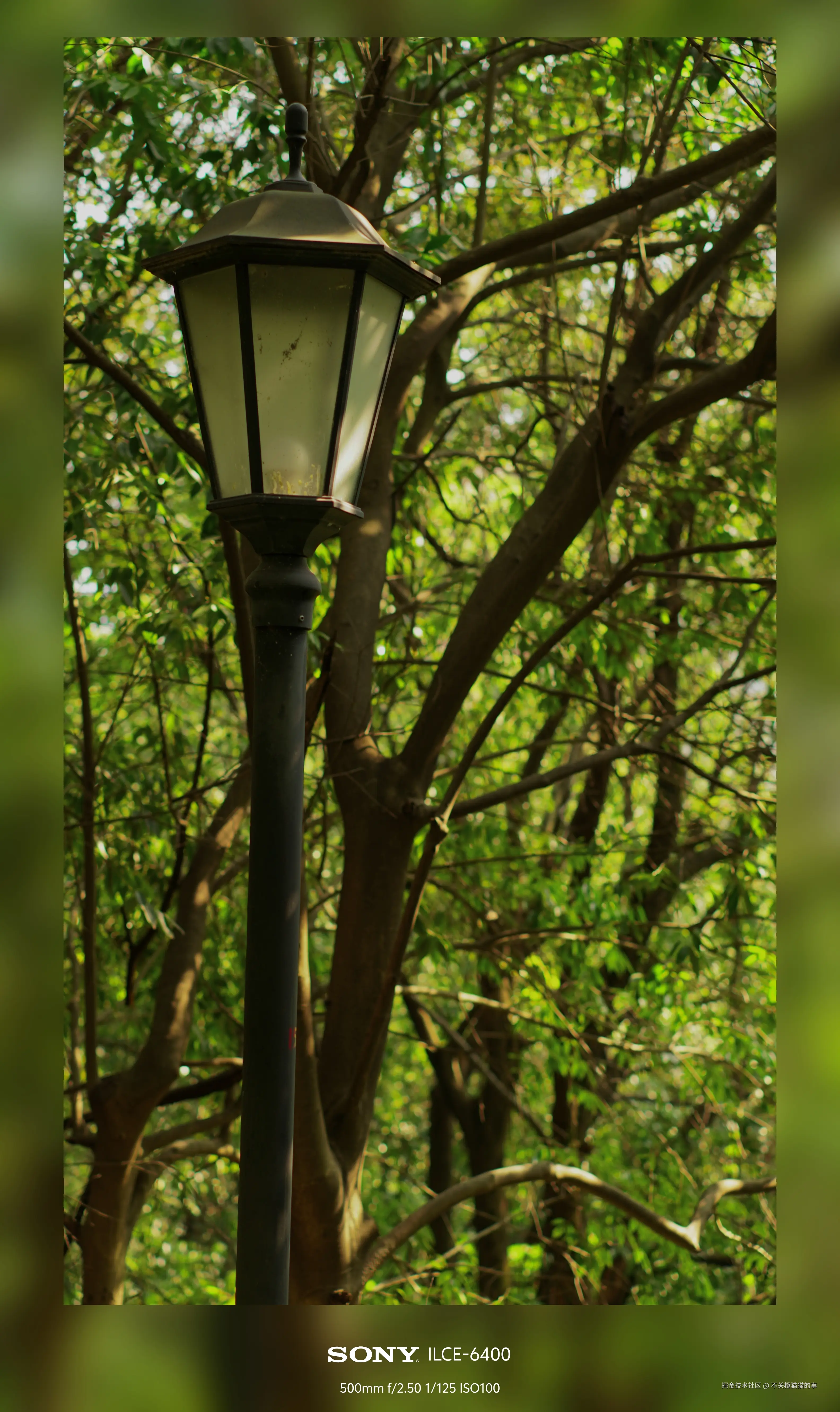 不关橙猫猫的事于2024-08-06 16:58发布的图片