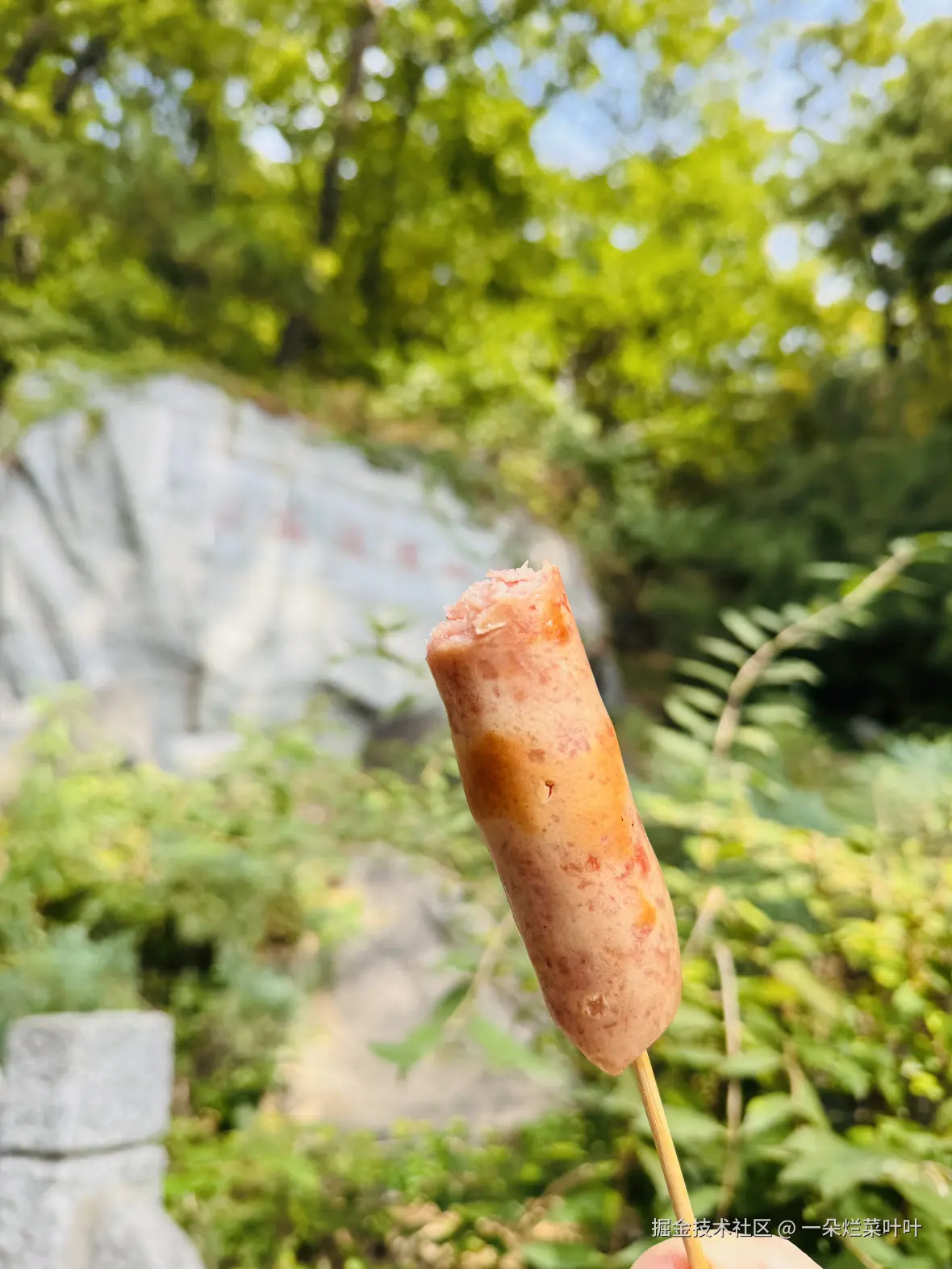 一朵烂菜叶叶于2025-10-20 10:23发布的图片