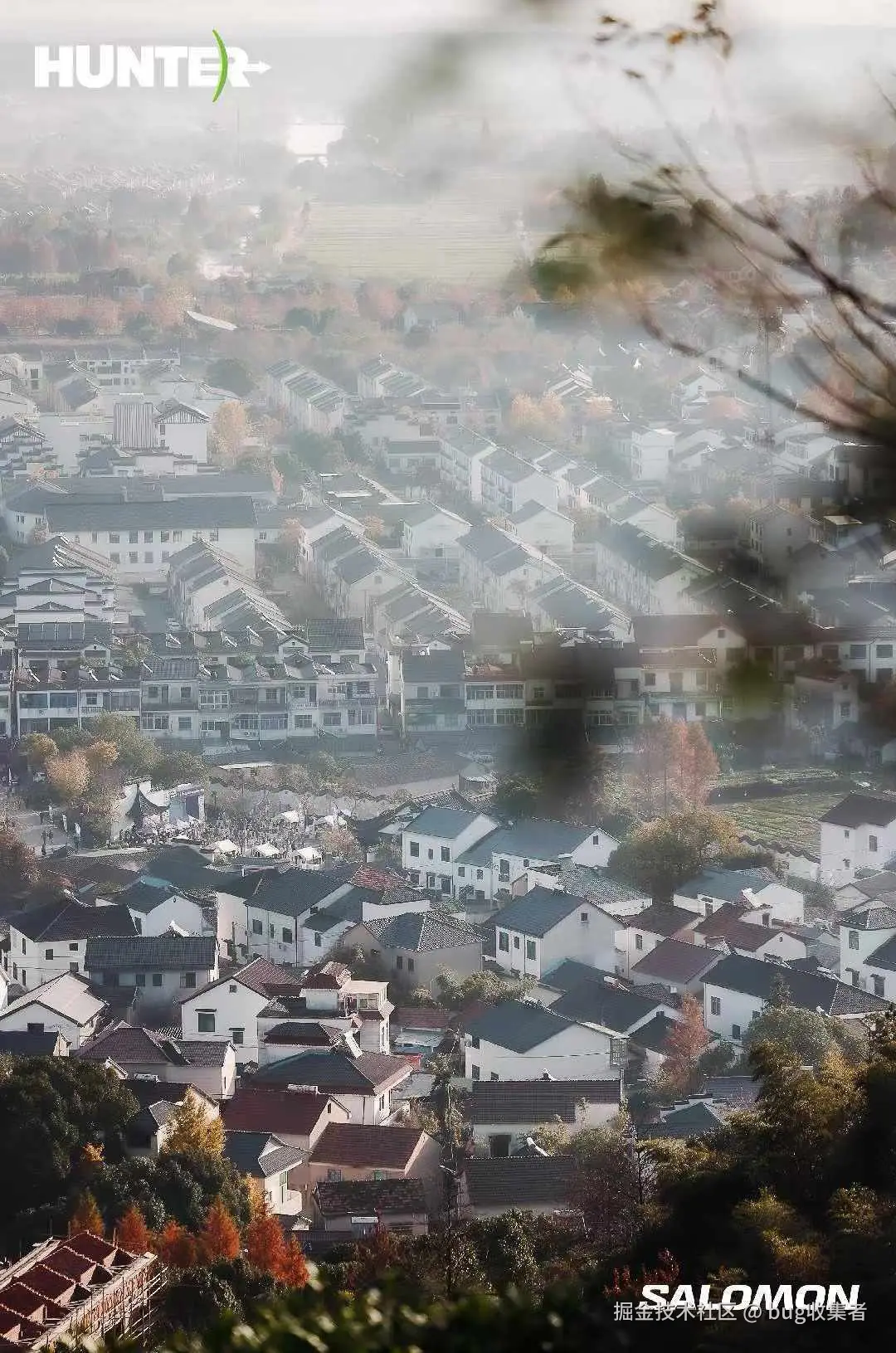 bug收集者于2025-12-01 11:25发布的图片