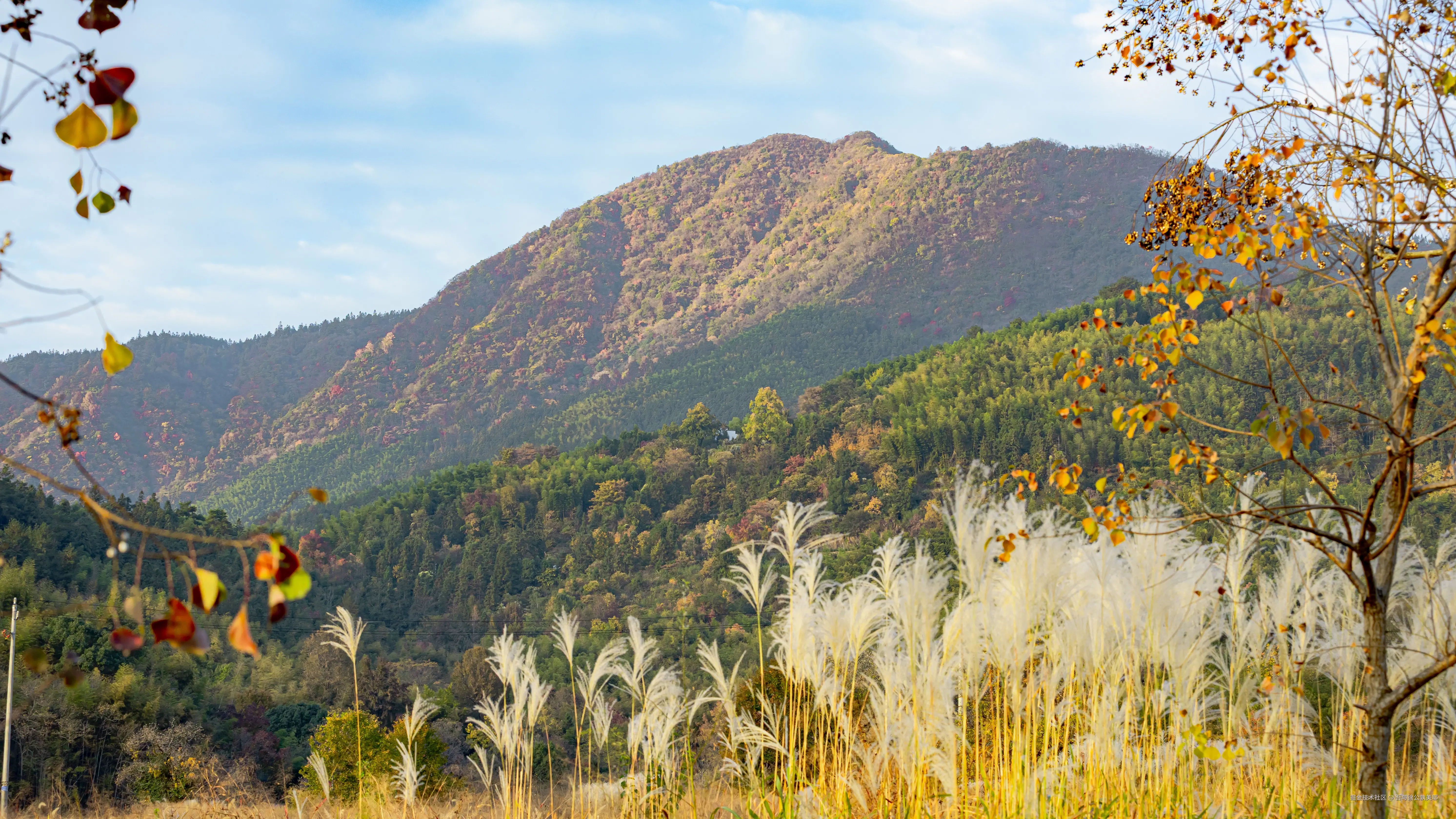 吾与徐公孰美耶于2025-11-18 05:46发布的图片