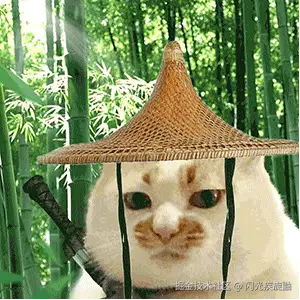 闪光疾旋鼬于2024-10-09 17:01发布的图片