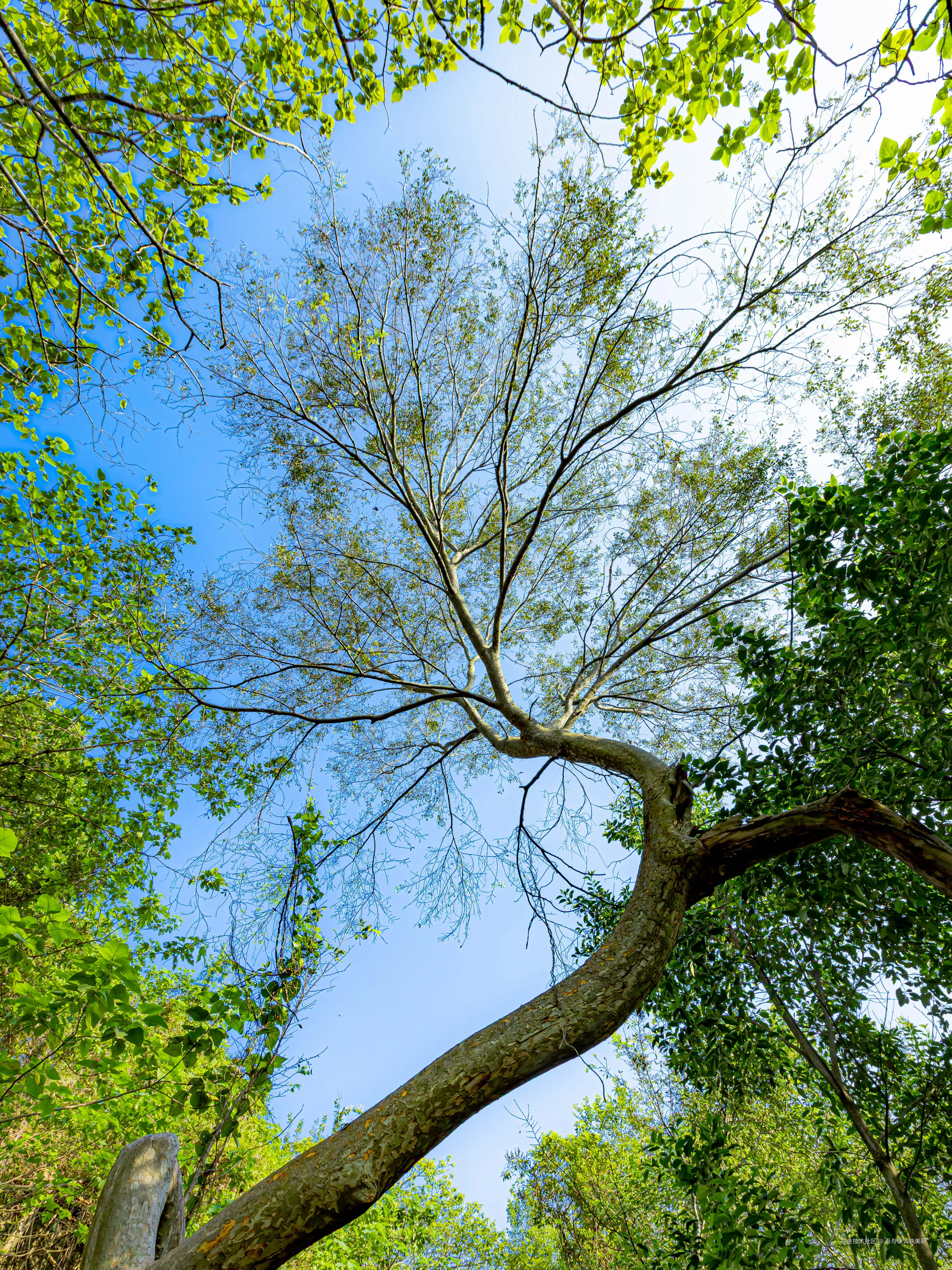 吾与徐公孰美耶于2025-11-13 09:37发布的图片