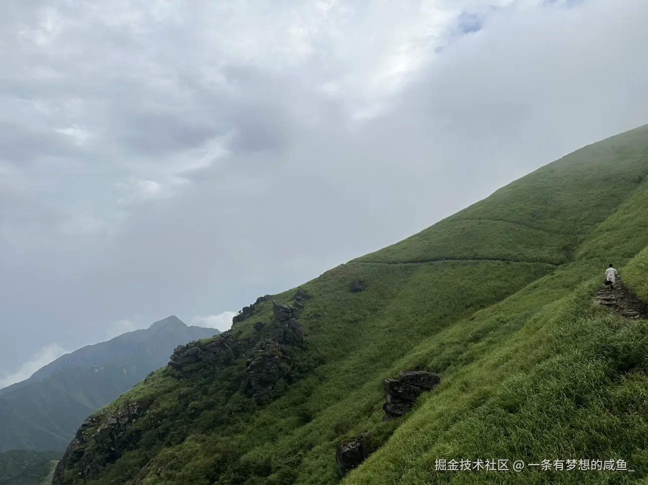 一条有梦想的咸鱼_于2025-07-28 06:12发布的图片