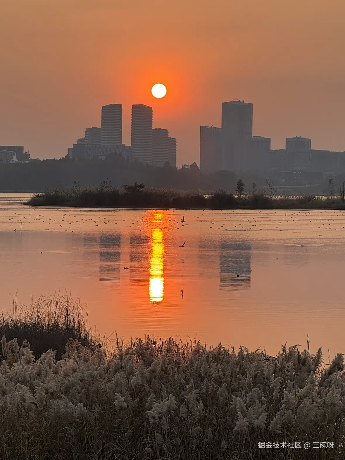 三碗呀于2024-12-23 10:13发布的图片