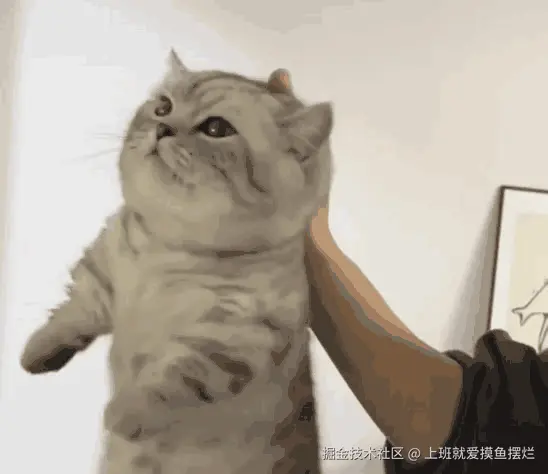 上班就爱摸鱼摆烂于2024-12-03 16:52发布的图片